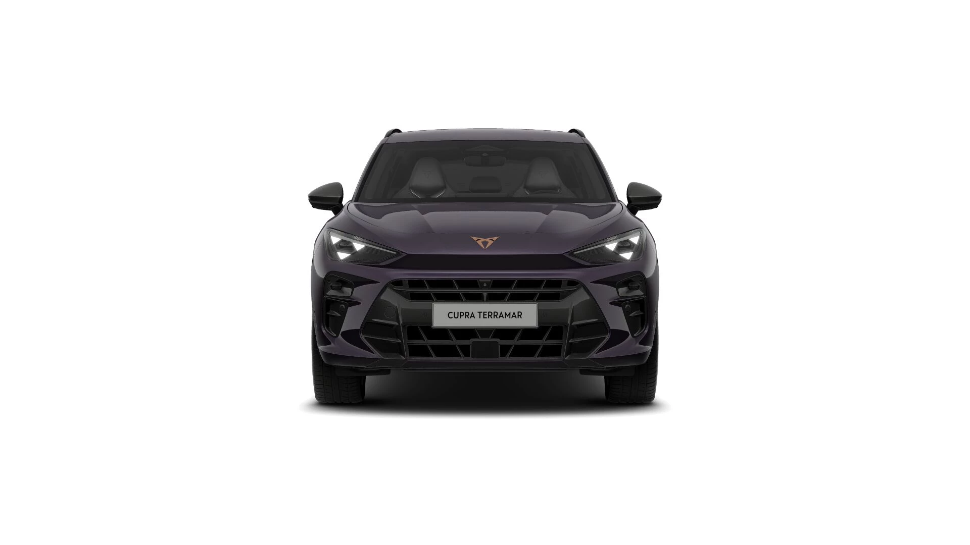 Hoofdafbeelding CUPRA Terramar