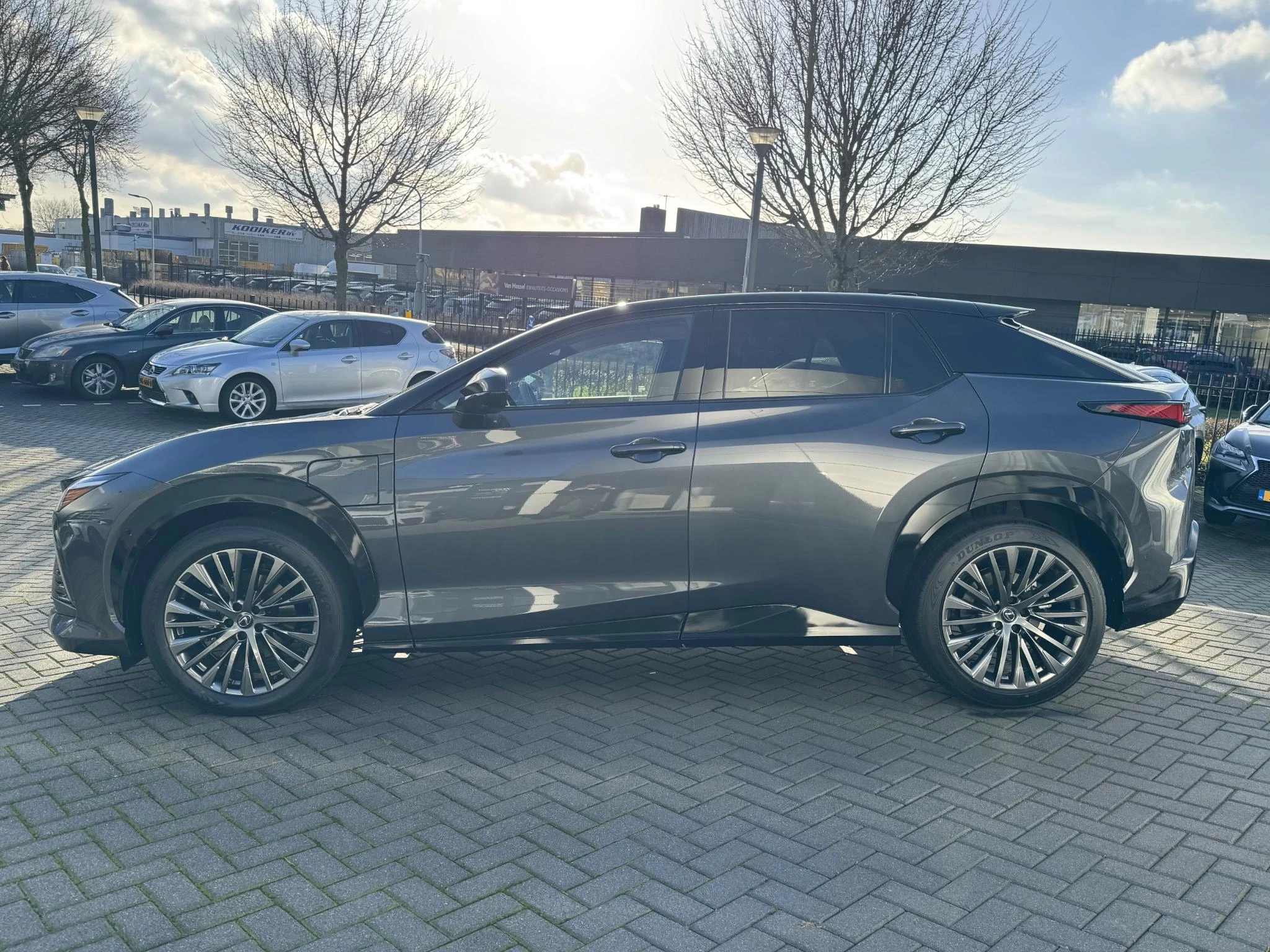 Hoofdafbeelding Lexus RZ