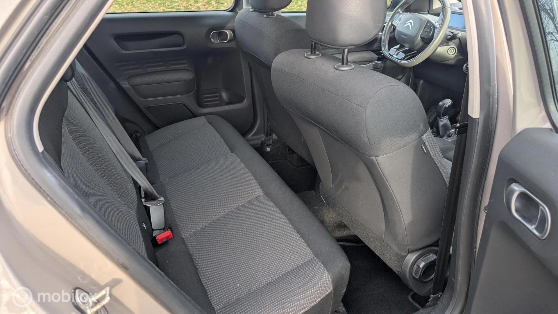 Hoofdafbeelding Citroën C4 Cactus