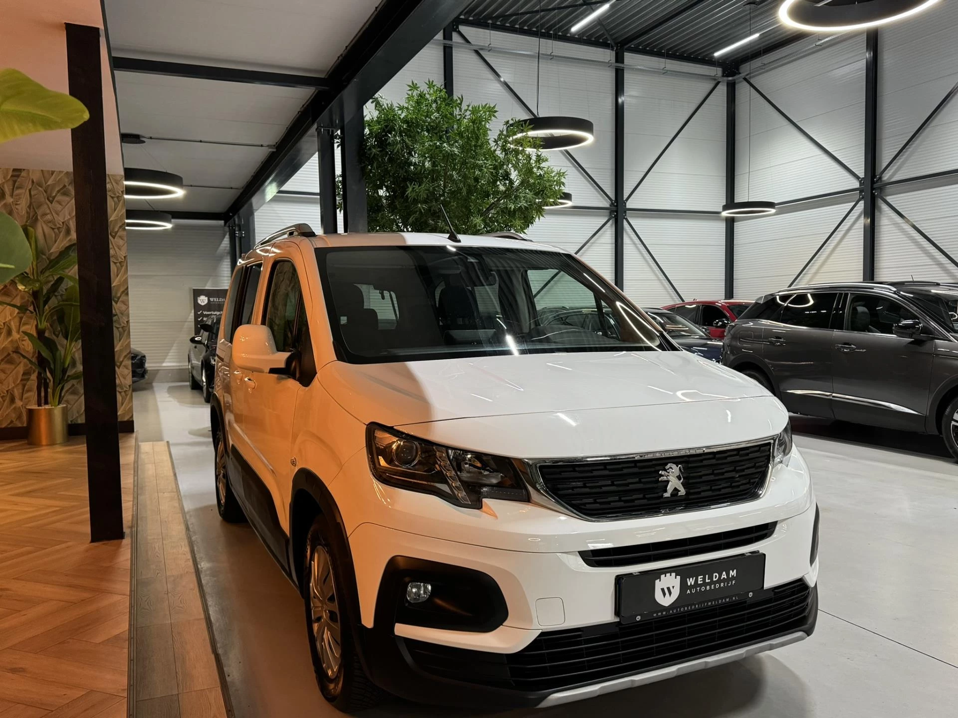 Hoofdafbeelding Peugeot Rifter