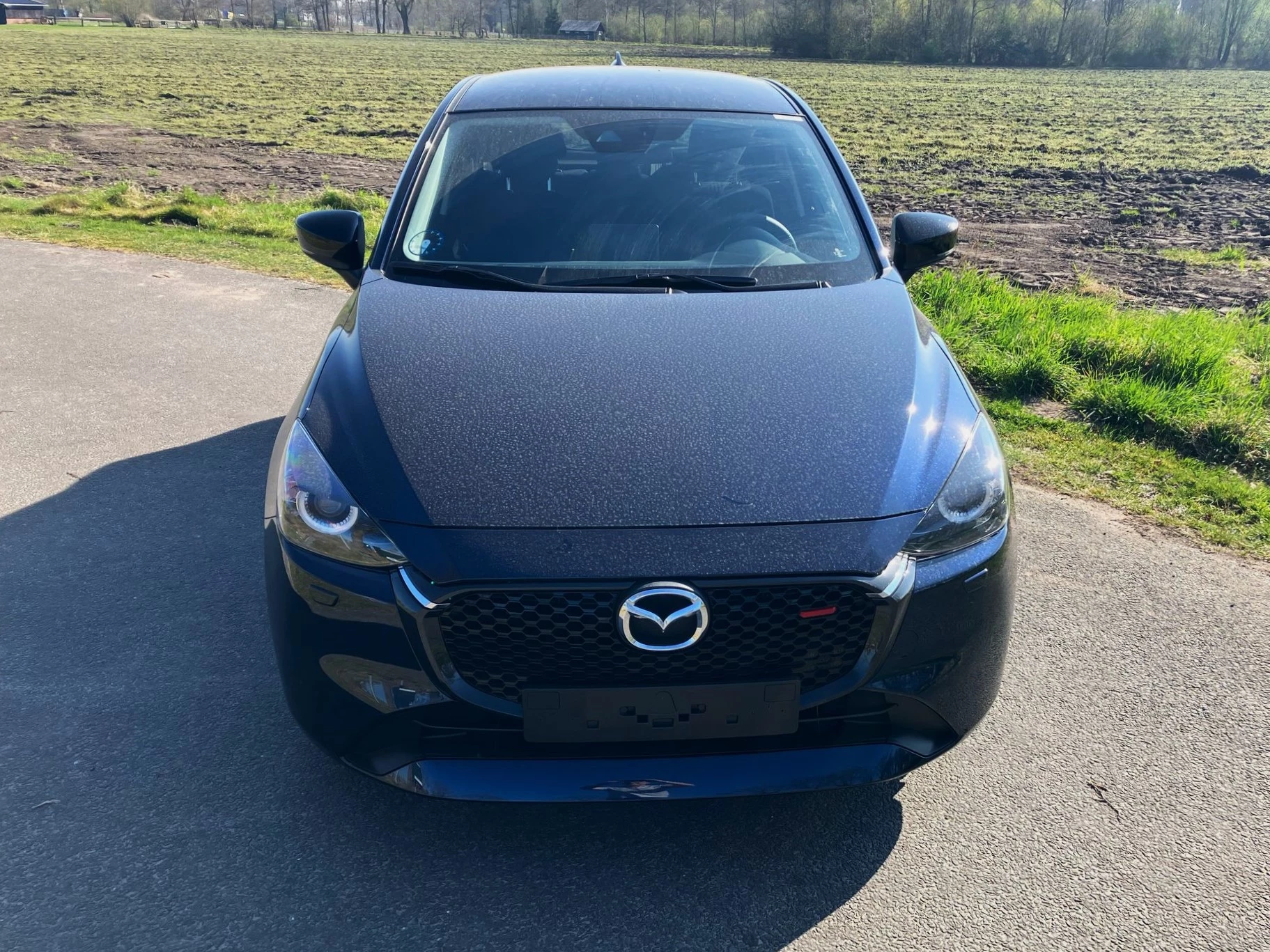 Hoofdafbeelding Mazda 2