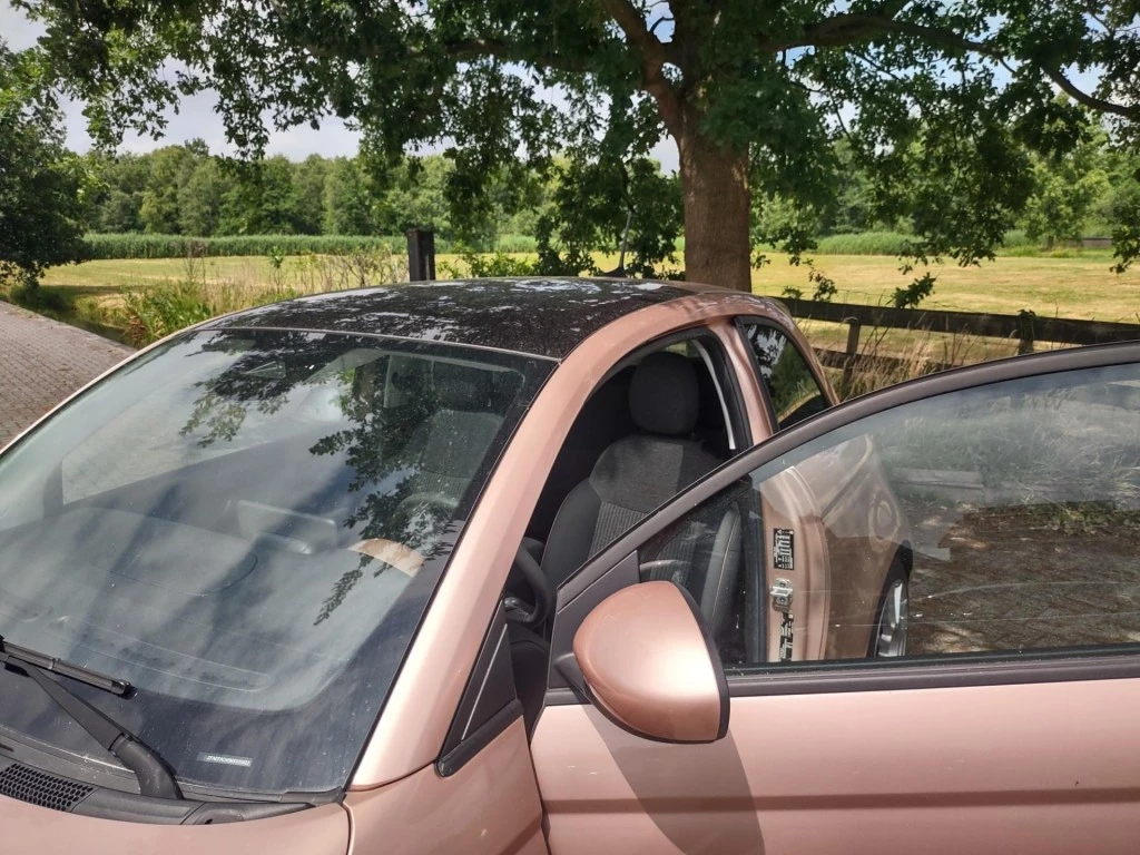 Hoofdafbeelding Fiat 500e