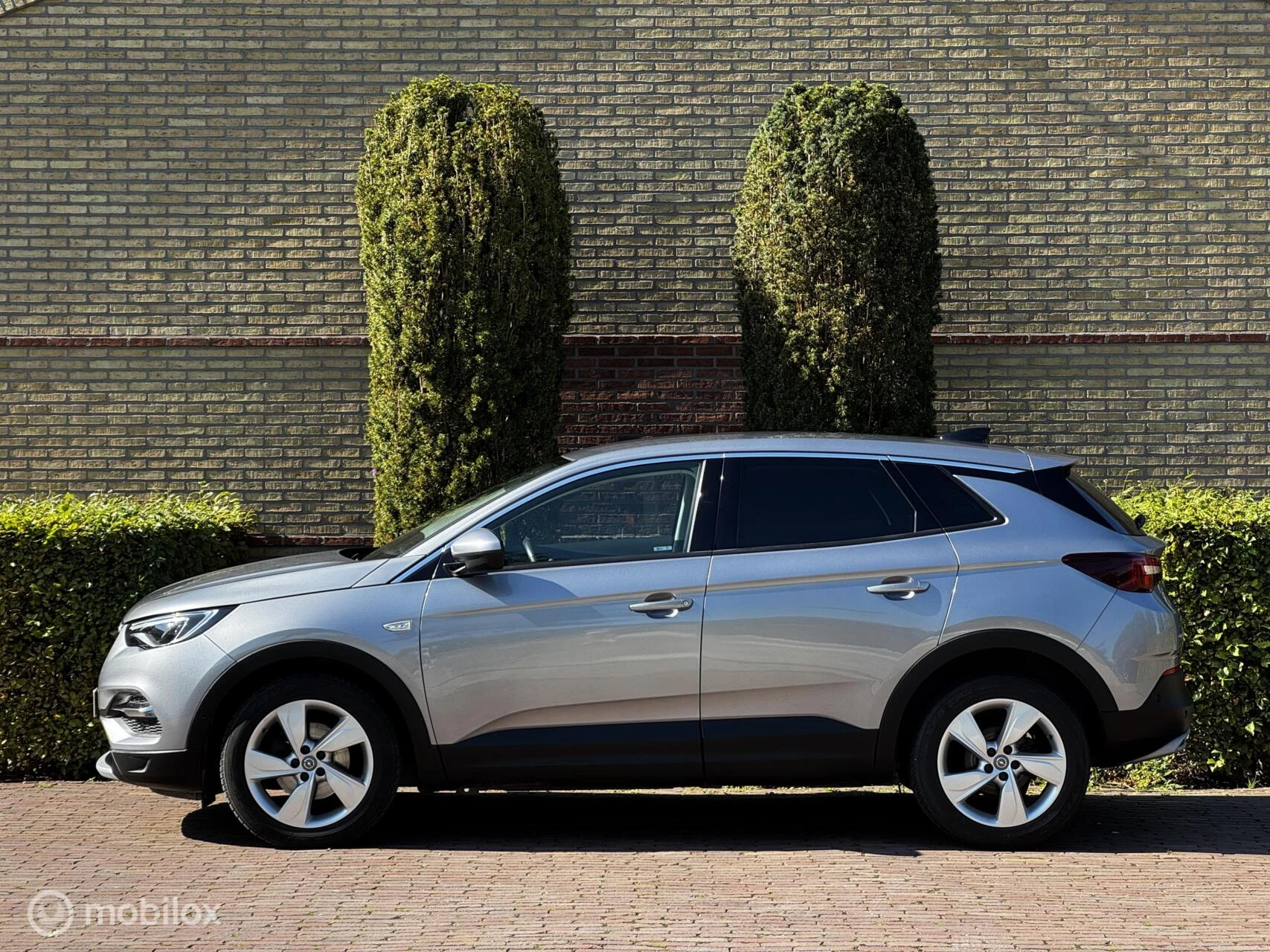 Hoofdafbeelding Opel Grandland X