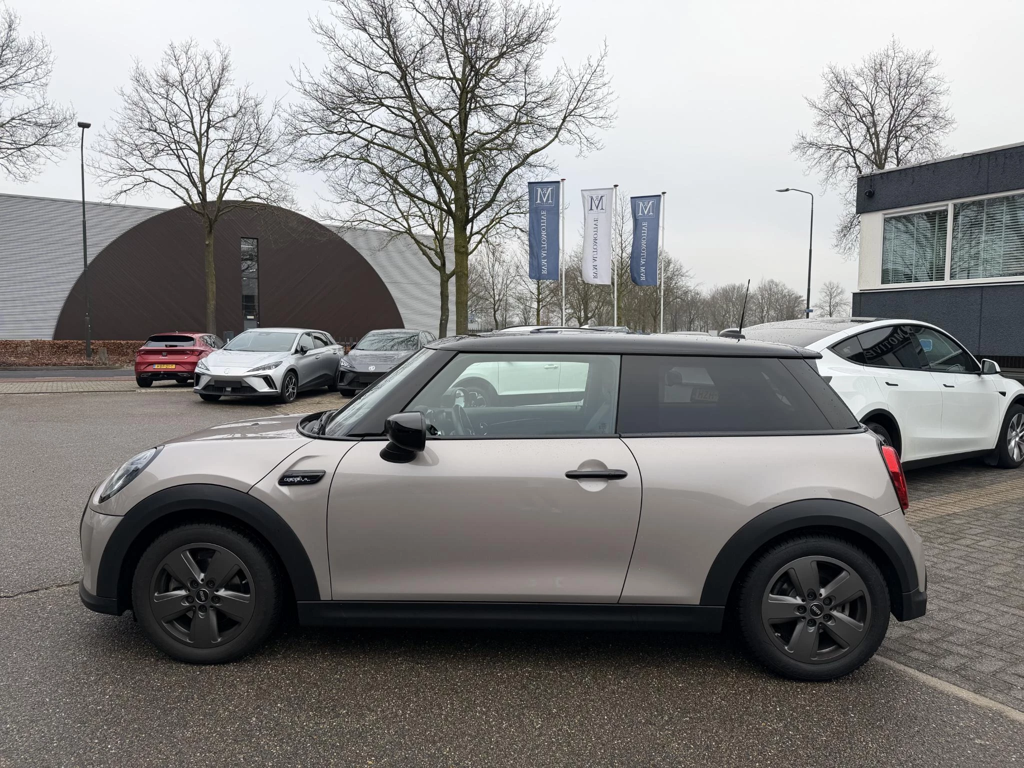 Hoofdafbeelding MINI Cooper