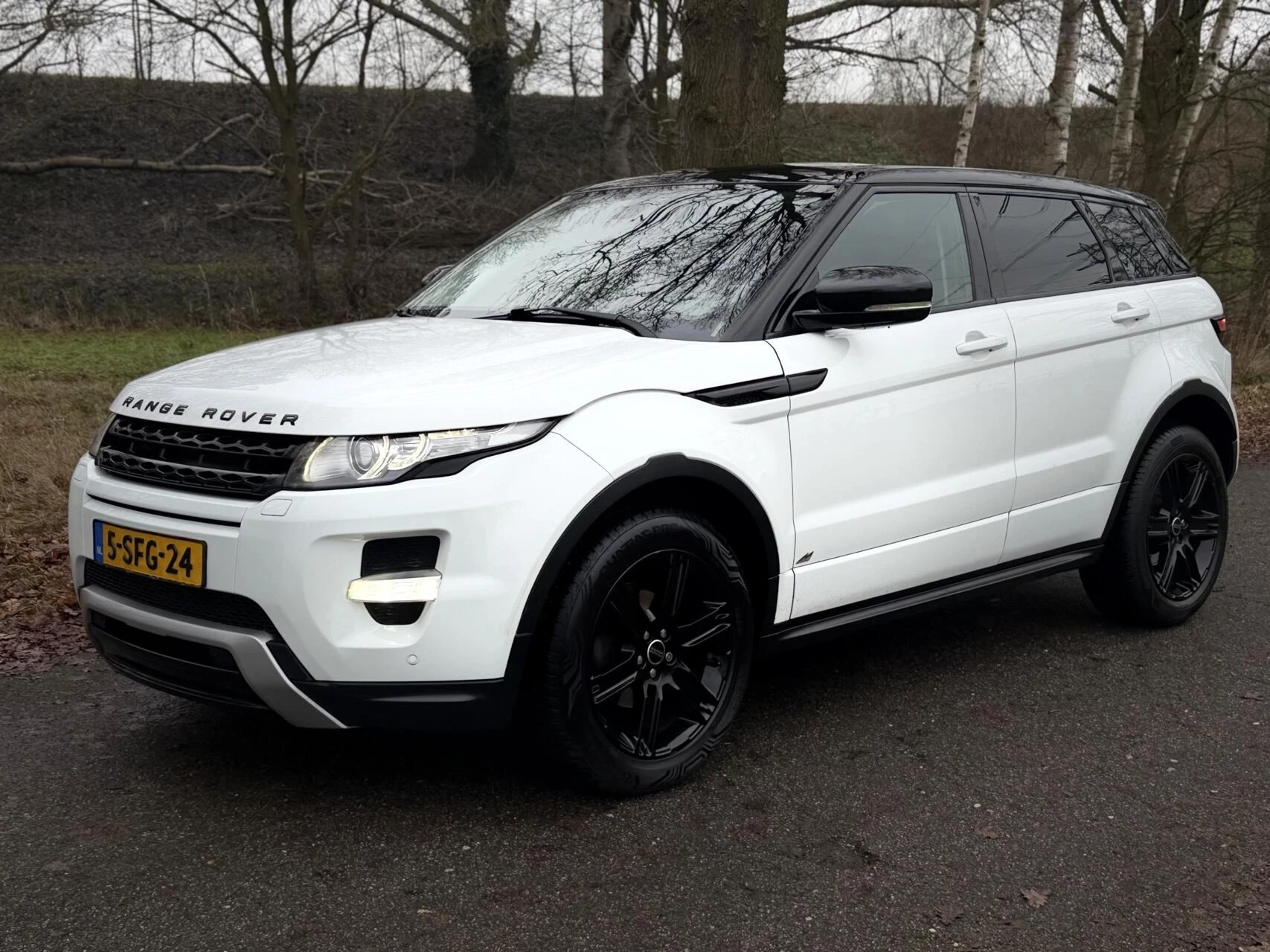Hoofdafbeelding Land Rover Range Rover Evoque