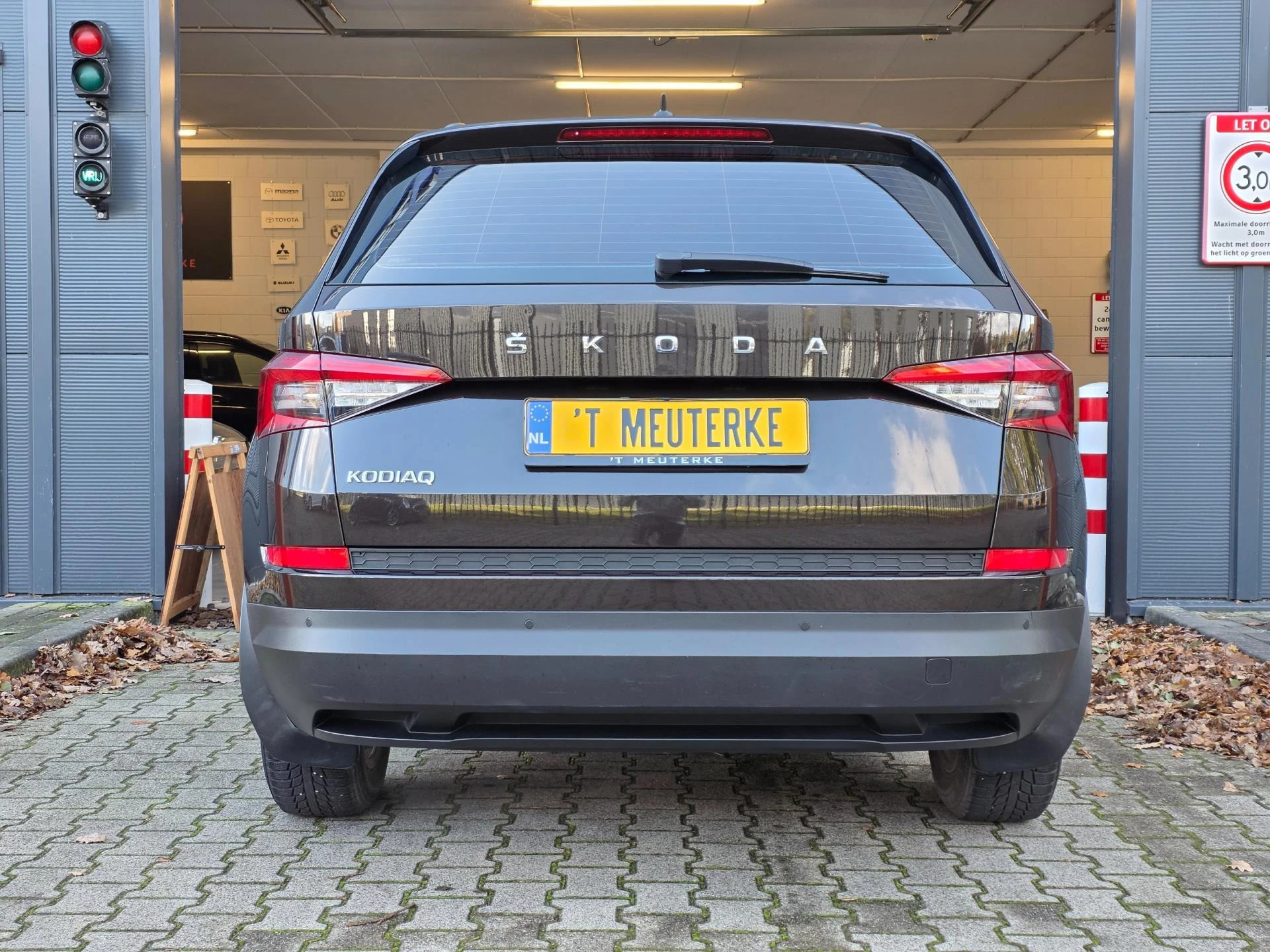 Hoofdafbeelding Škoda Kodiaq