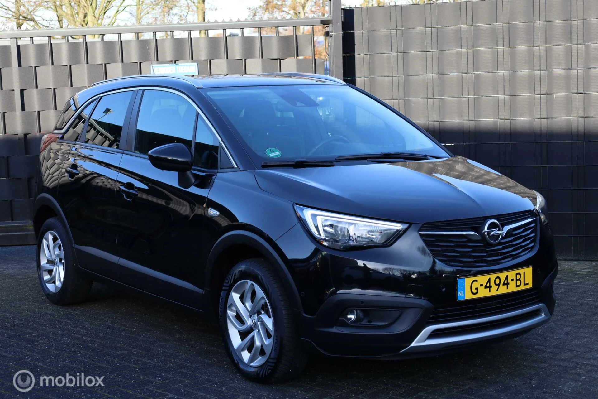 Hoofdafbeelding Opel Crossland X