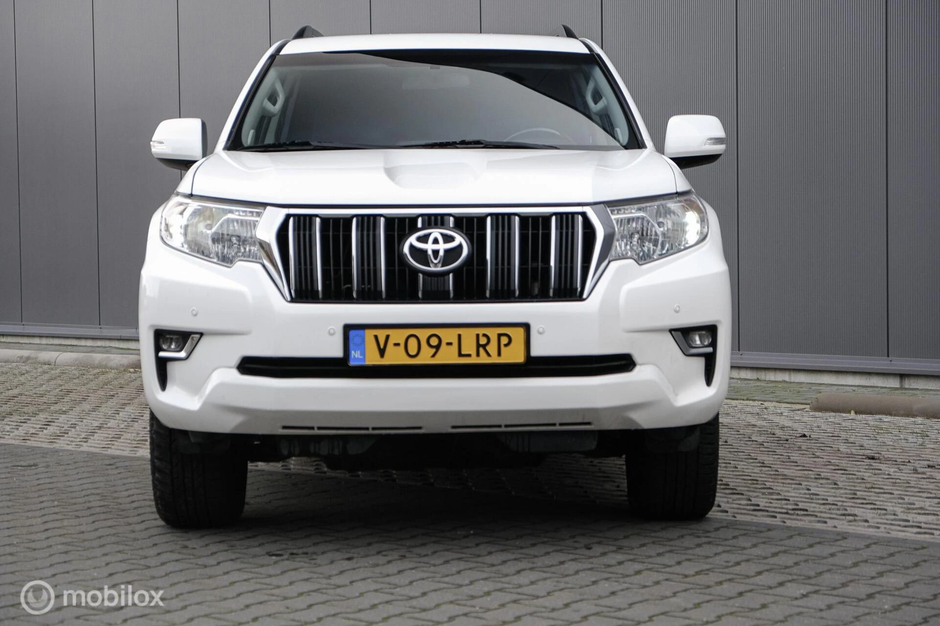 Hoofdafbeelding Toyota Land Cruiser