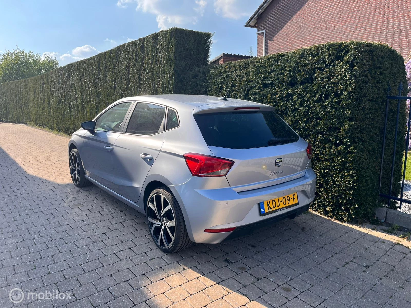 Hoofdafbeelding SEAT Ibiza