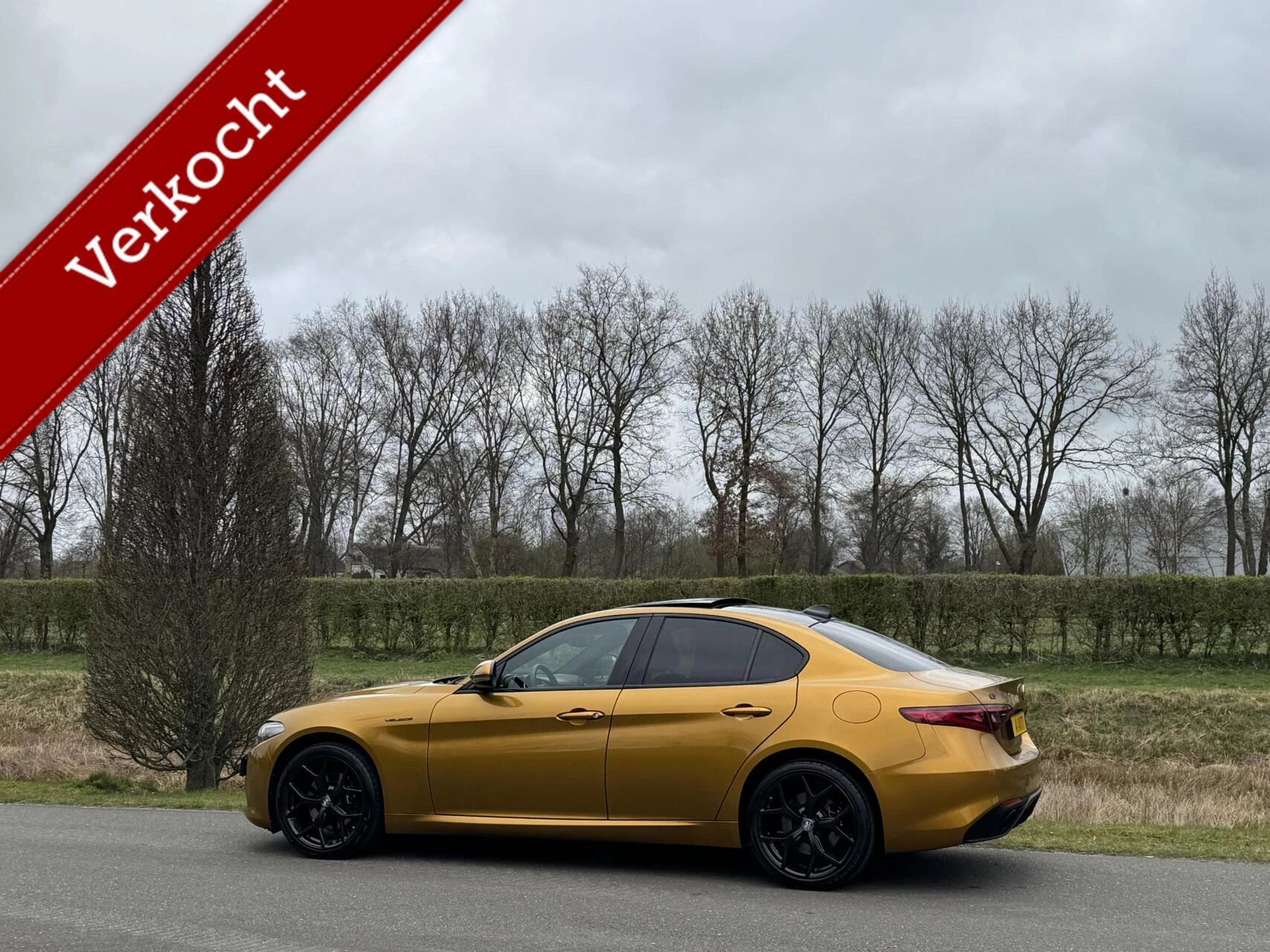 Hoofdafbeelding Alfa Romeo Giulia