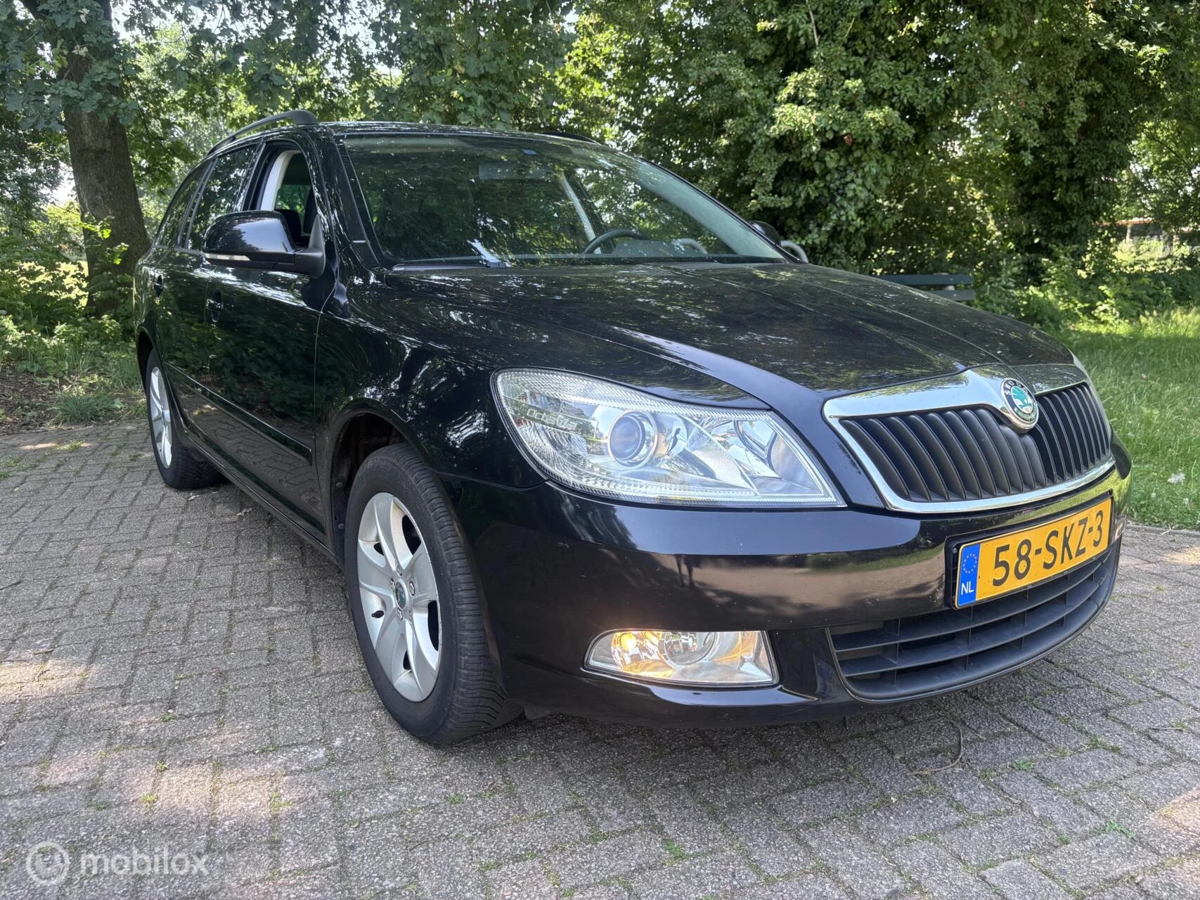 Hoofdafbeelding Škoda Octavia