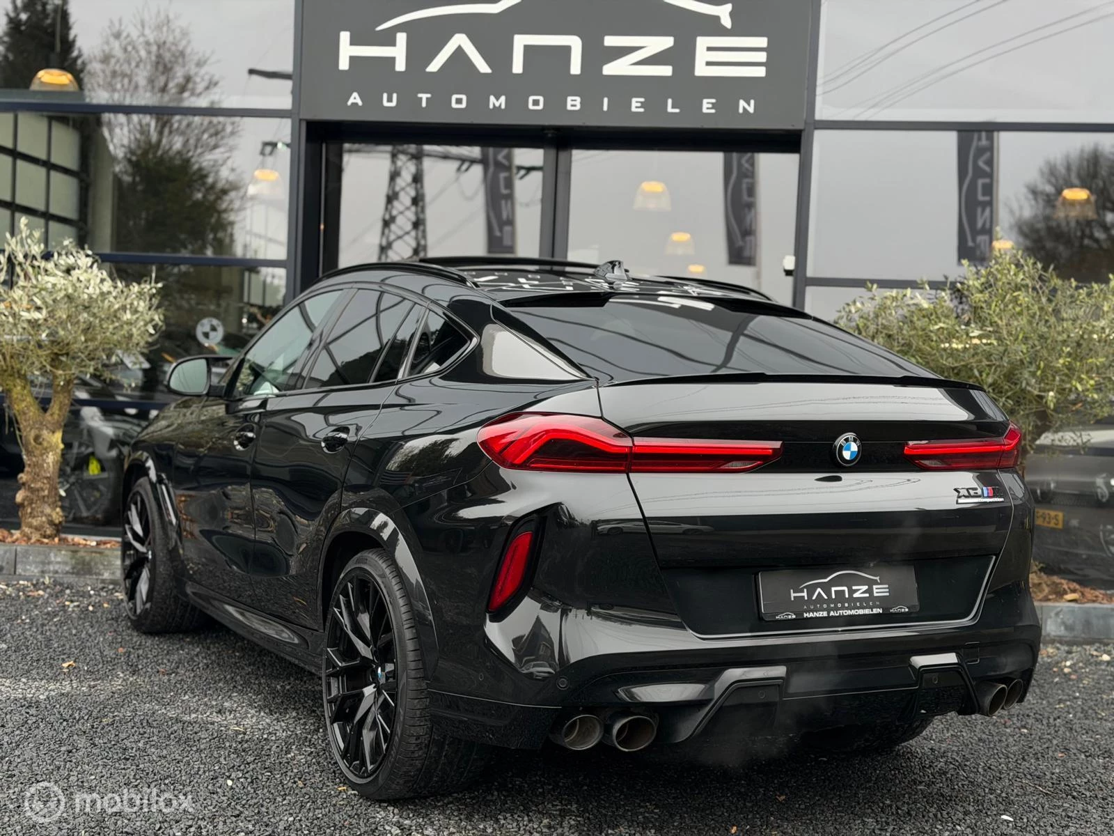 Hoofdafbeelding BMW X6