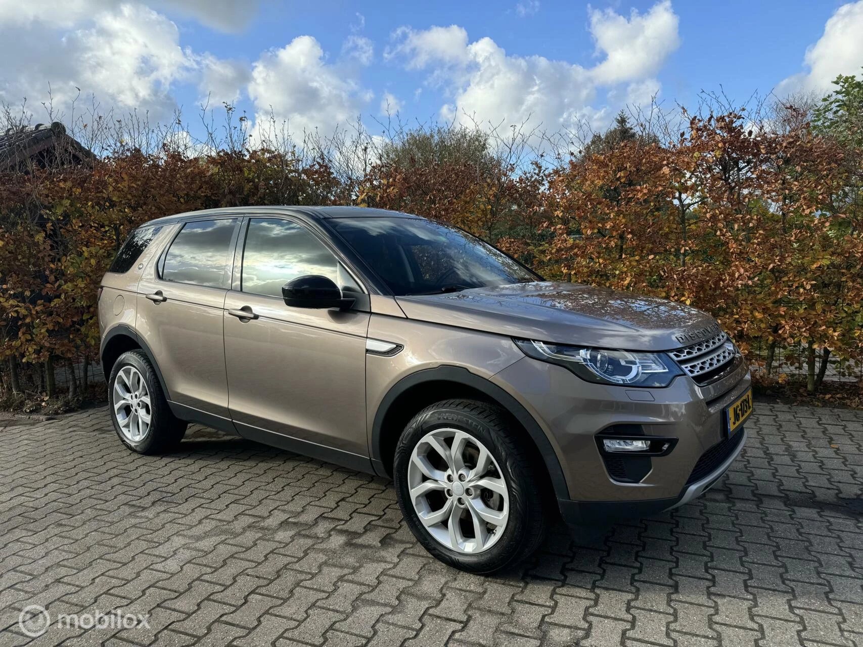 Hoofdafbeelding Land Rover Discovery Sport