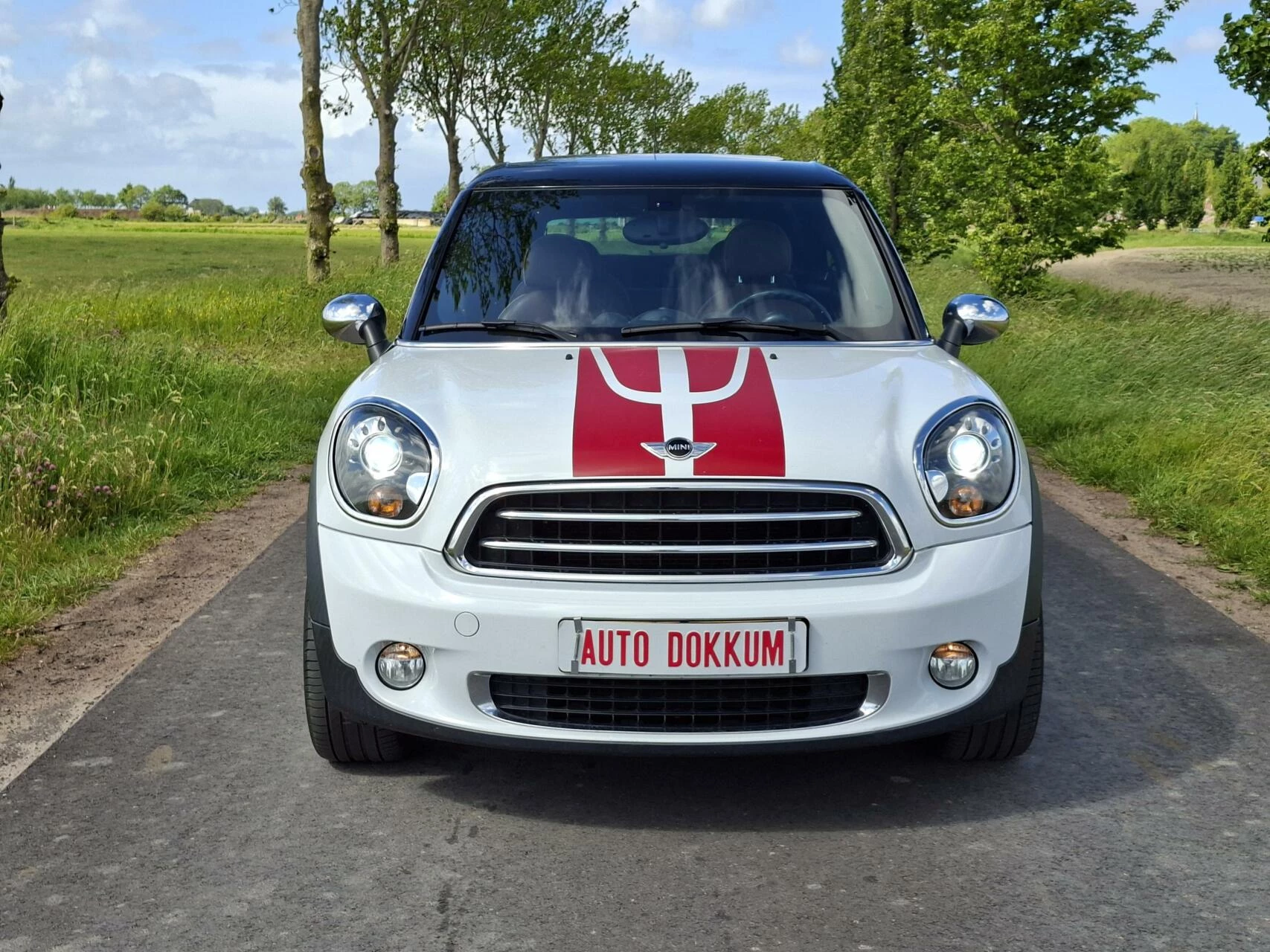 Hoofdafbeelding MINI Paceman