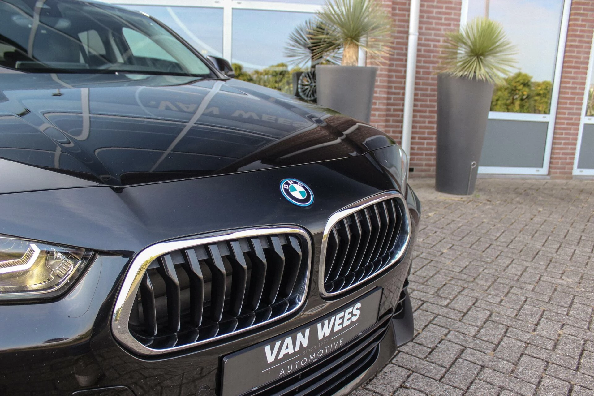 Hoofdafbeelding BMW X2