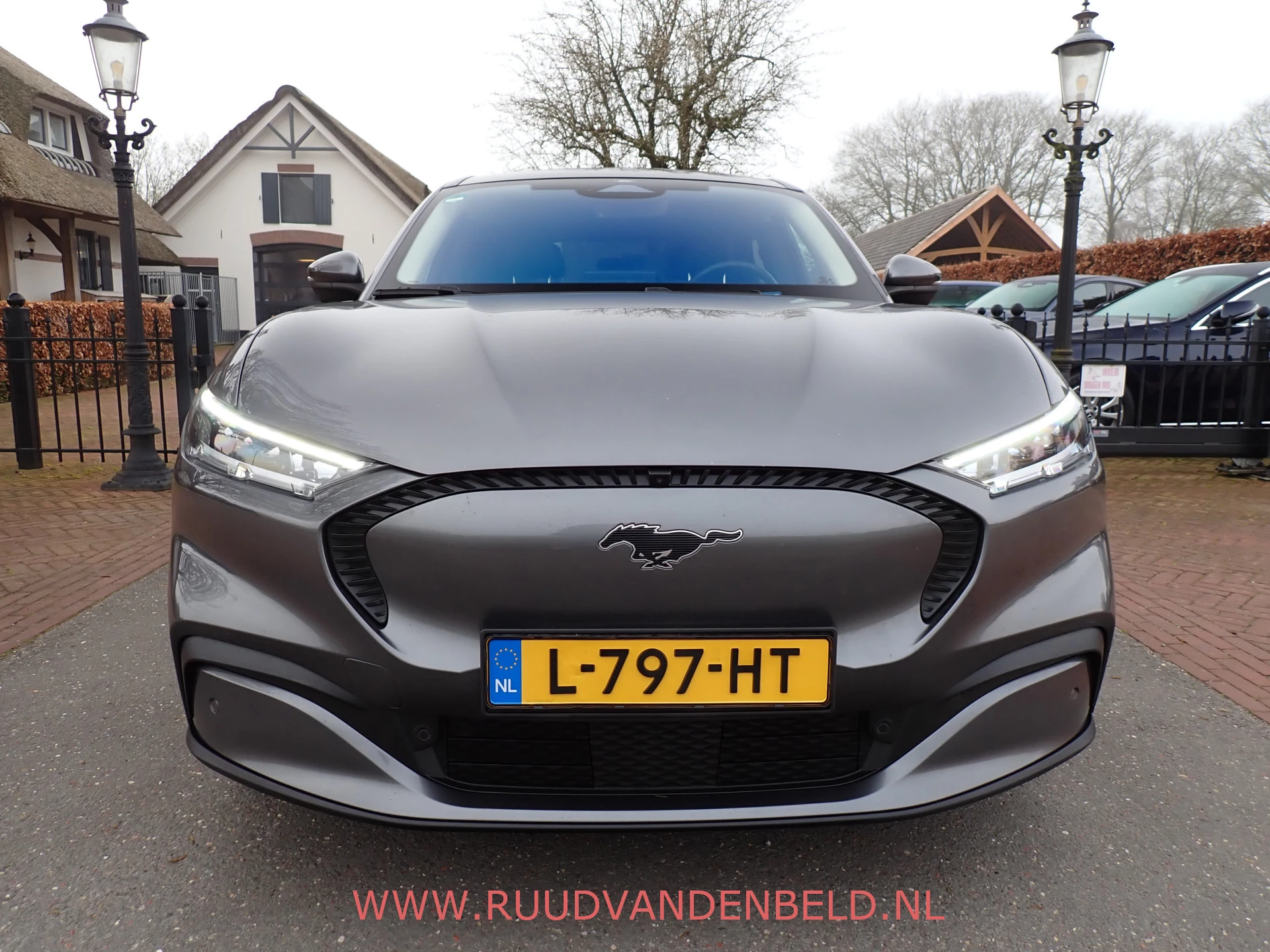 Hoofdafbeelding Ford Mustang Mach-E