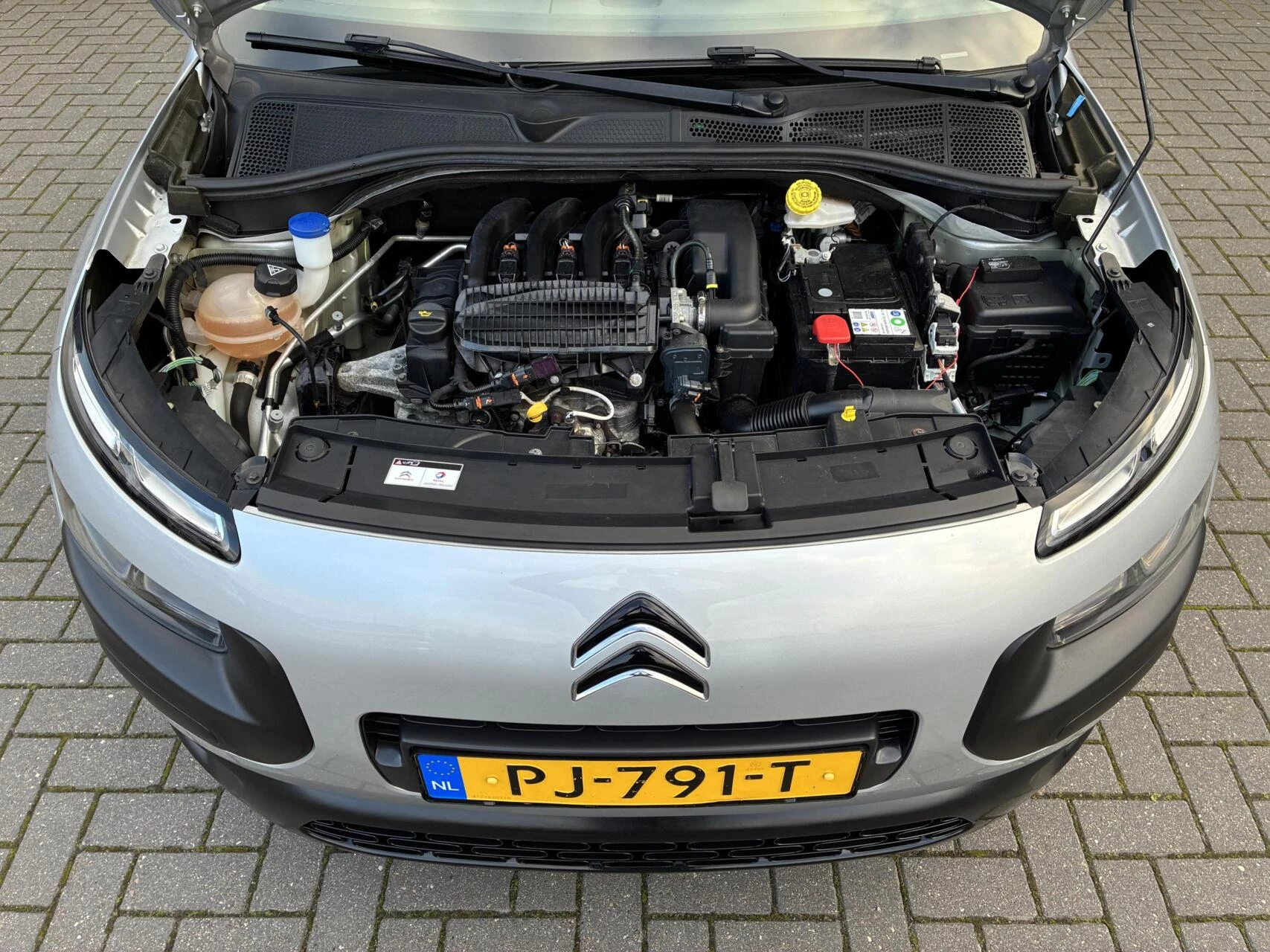 Hoofdafbeelding Citroën C4 Cactus