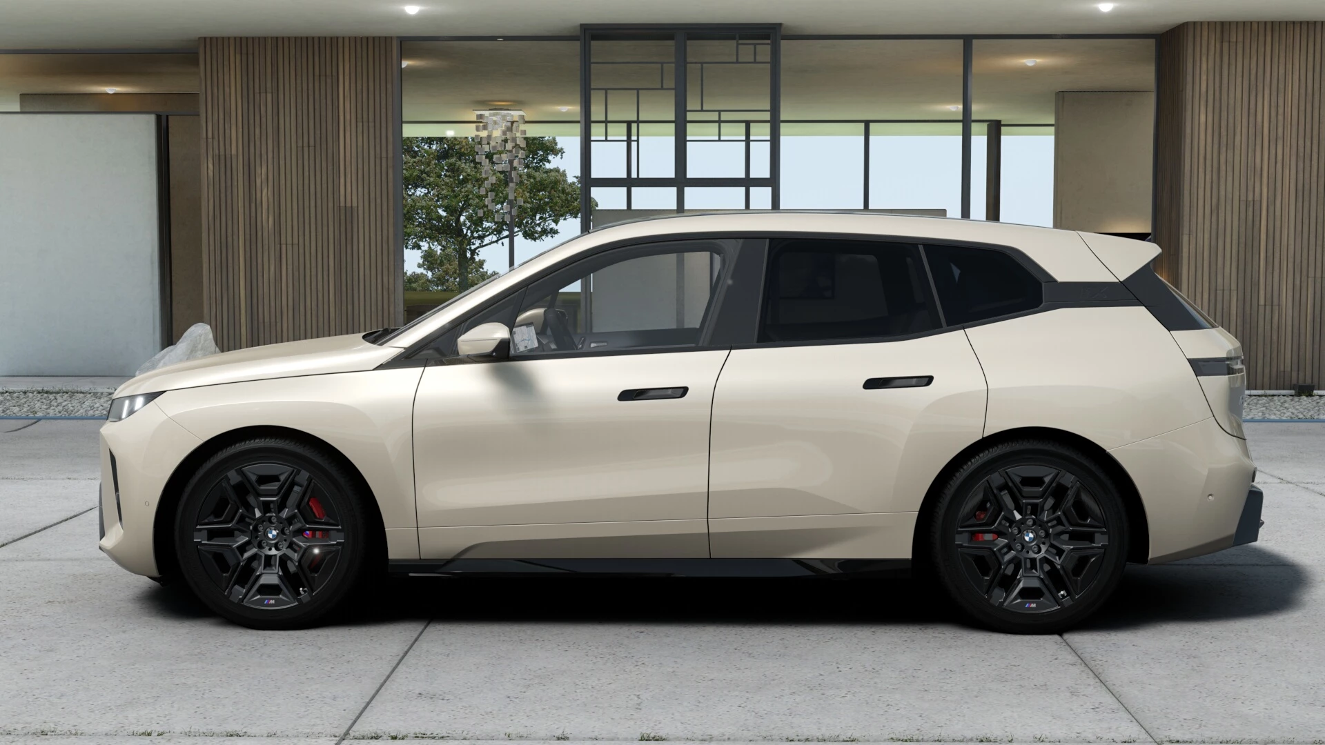 Hoofdafbeelding BMW iX