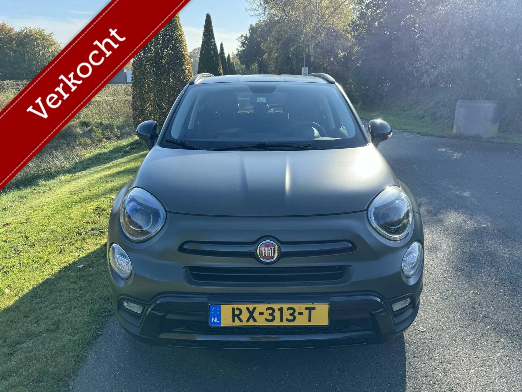 Hoofdafbeelding Fiat 500X