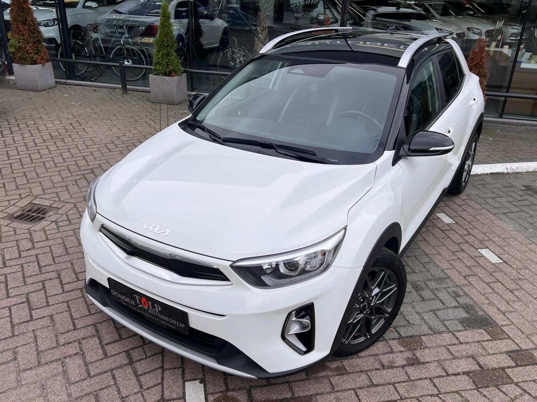 Hoofdafbeelding Kia Stonic