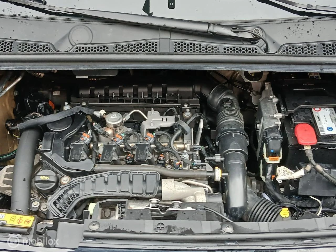 Hoofdafbeelding Citroën Berlingo