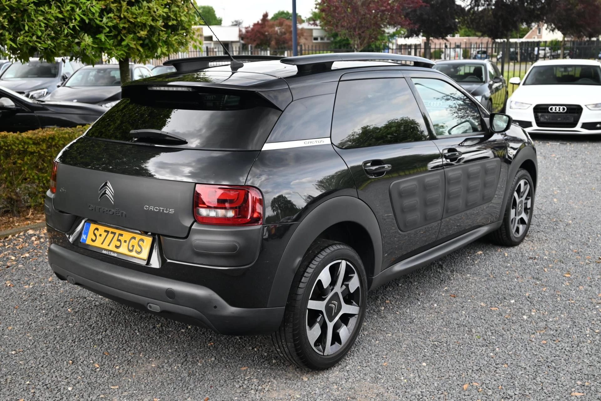 Hoofdafbeelding Citroën C4 Cactus