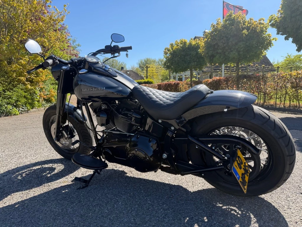Hoofdafbeelding Harley-Davidson Softail