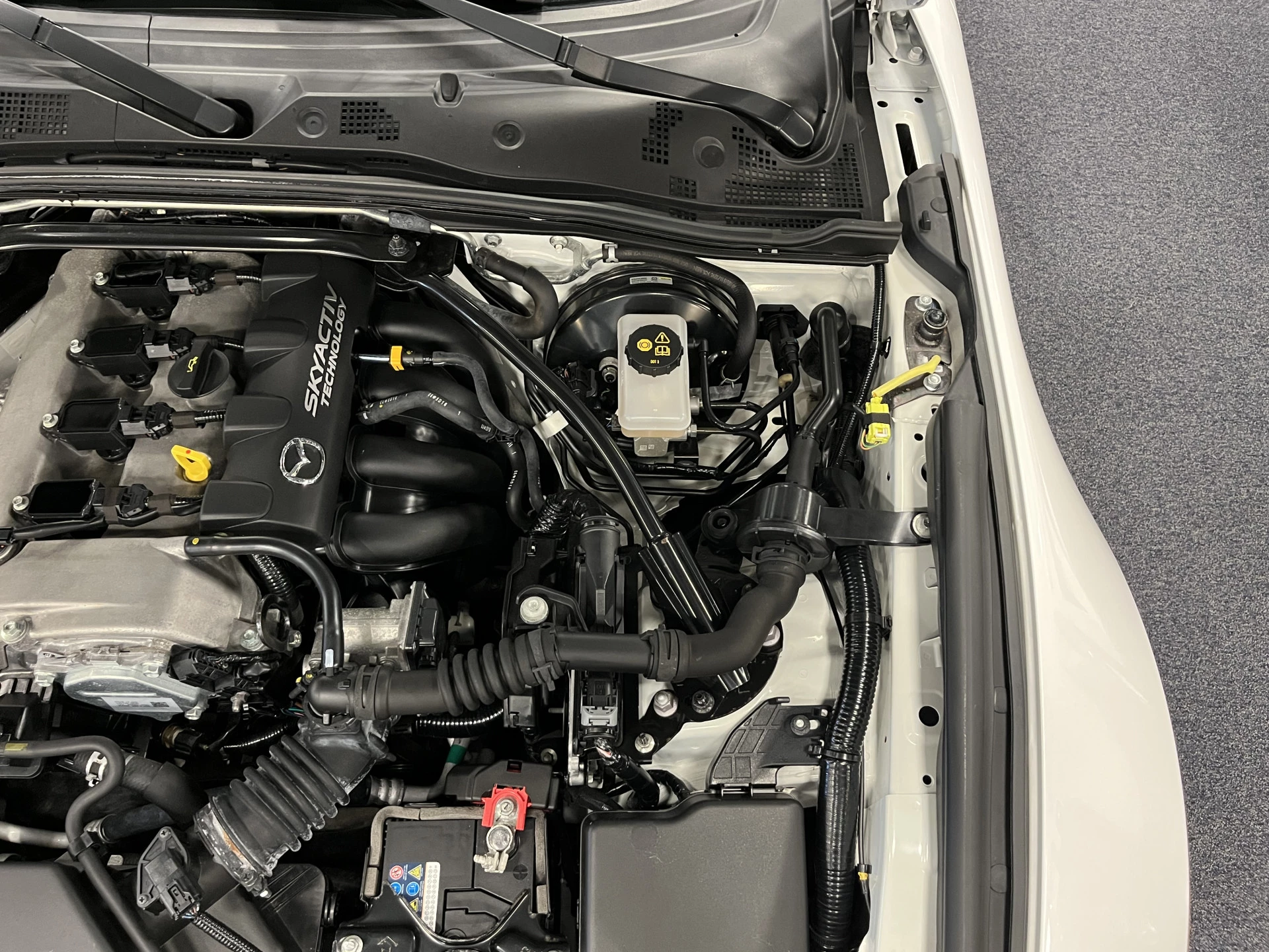 Hoofdafbeelding Mazda MX-5