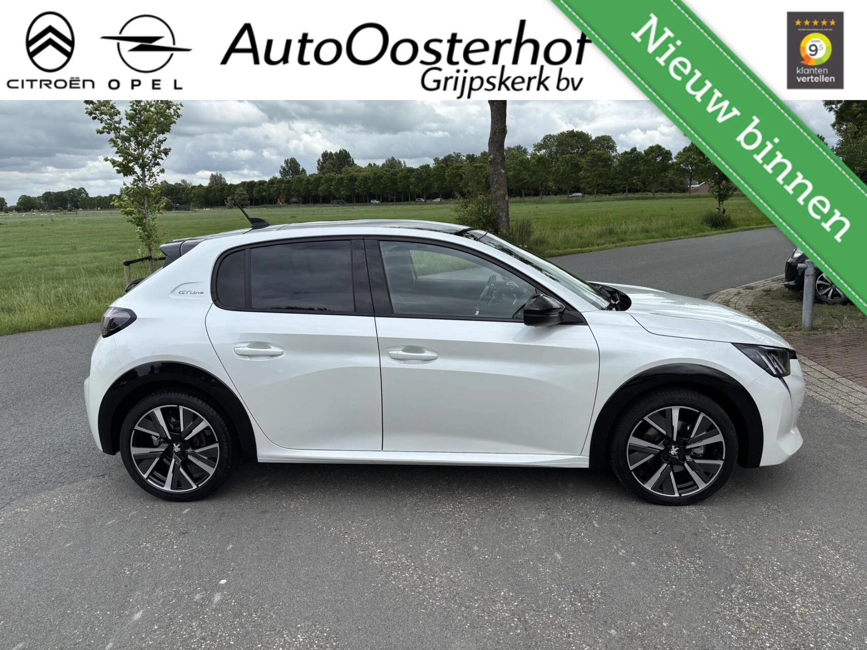 Hoofdafbeelding Peugeot 208