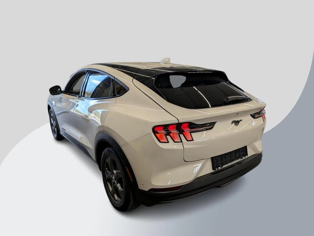 Hoofdafbeelding Ford Mustang Mach-E