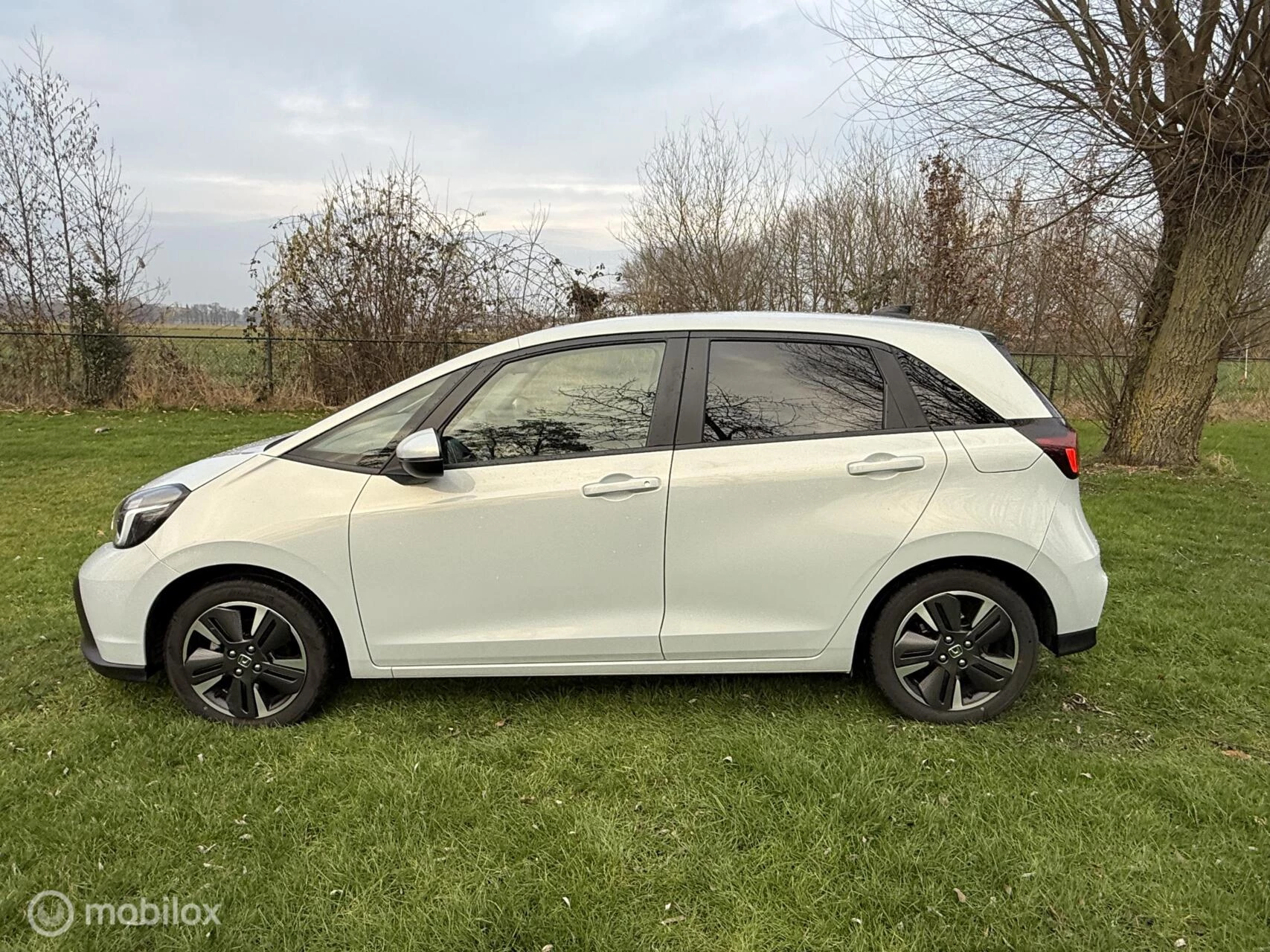 Hoofdafbeelding Honda Jazz