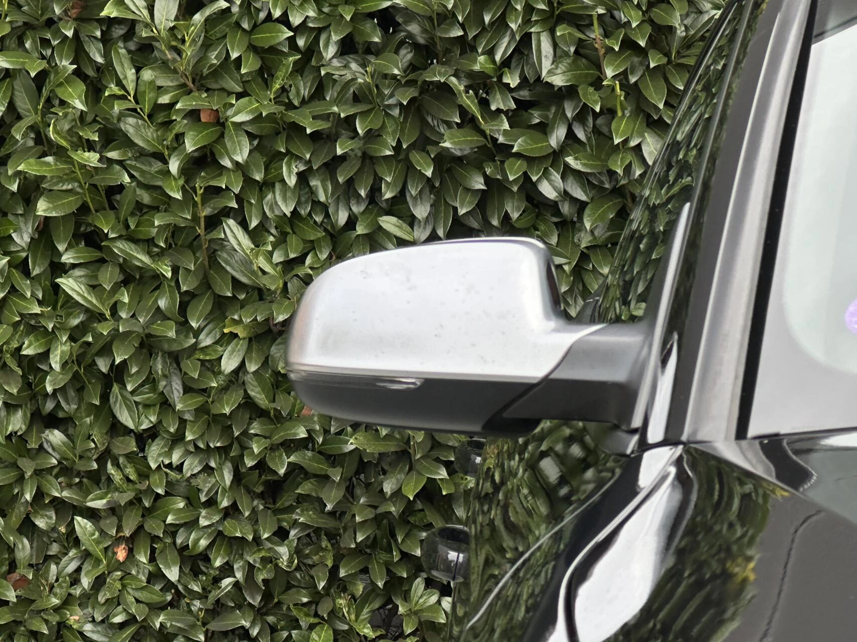 Hoofdafbeelding Audi S5