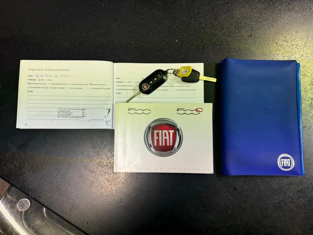 Hoofdafbeelding Fiat 500