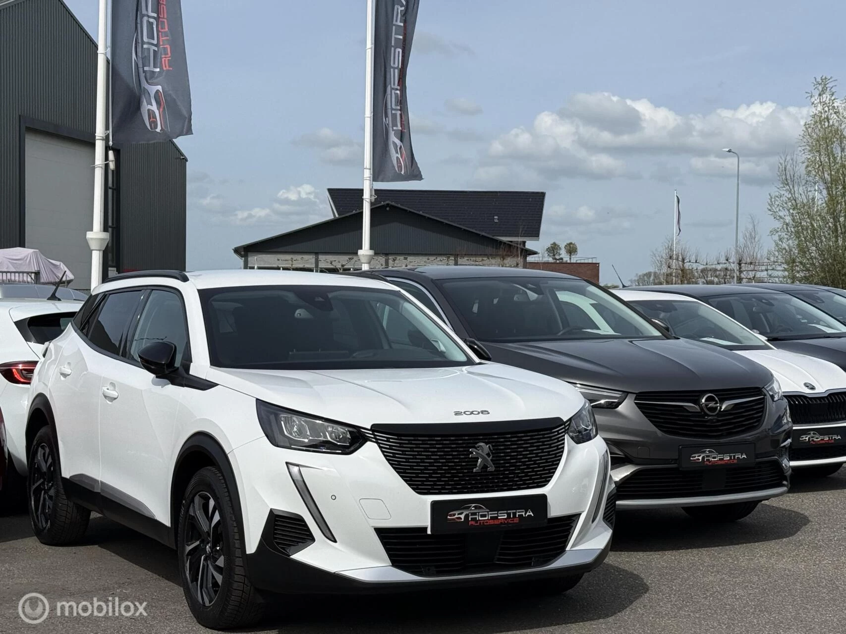 Hoofdafbeelding Peugeot 2008