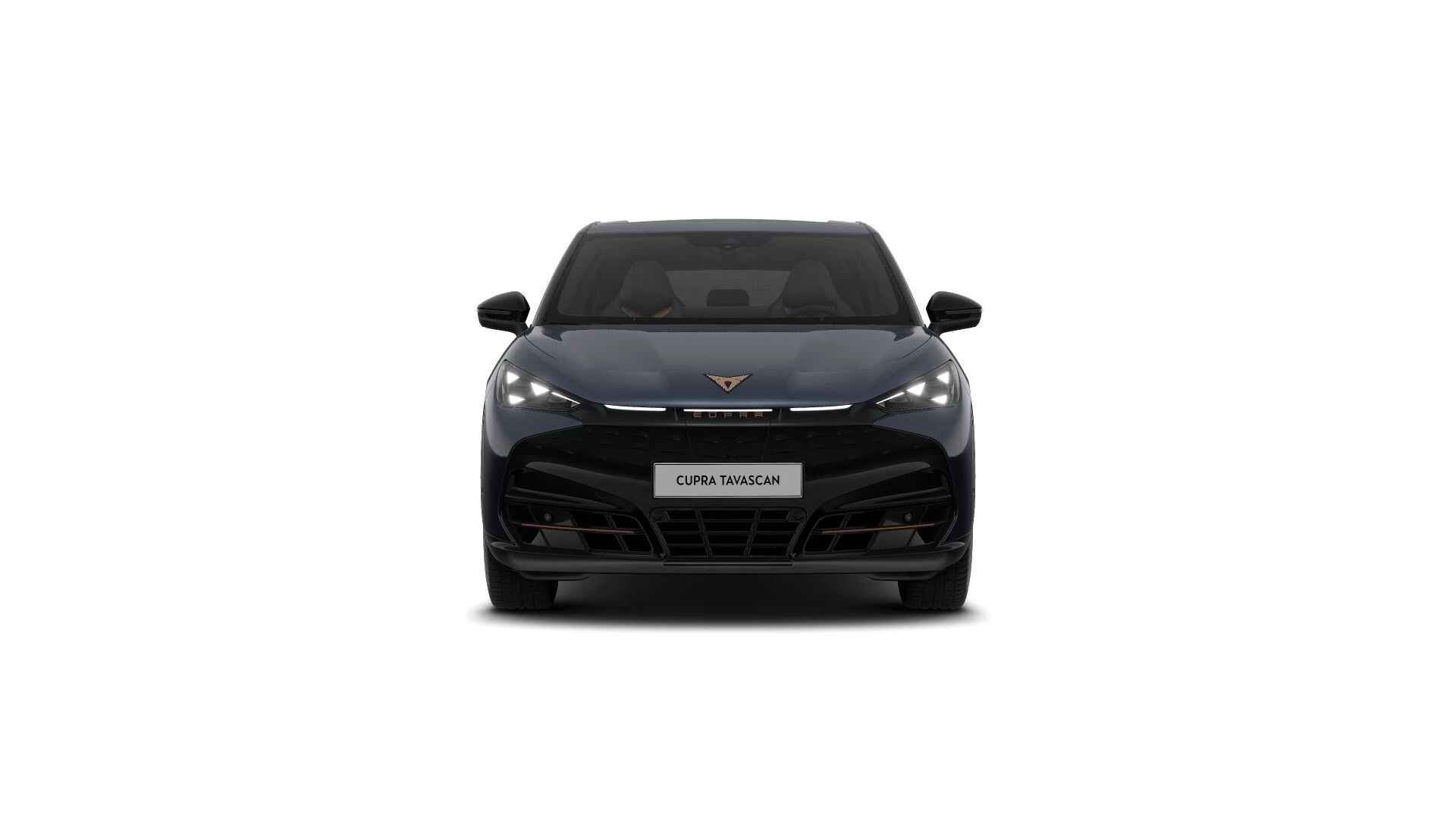 Hoofdafbeelding CUPRA Tavascan