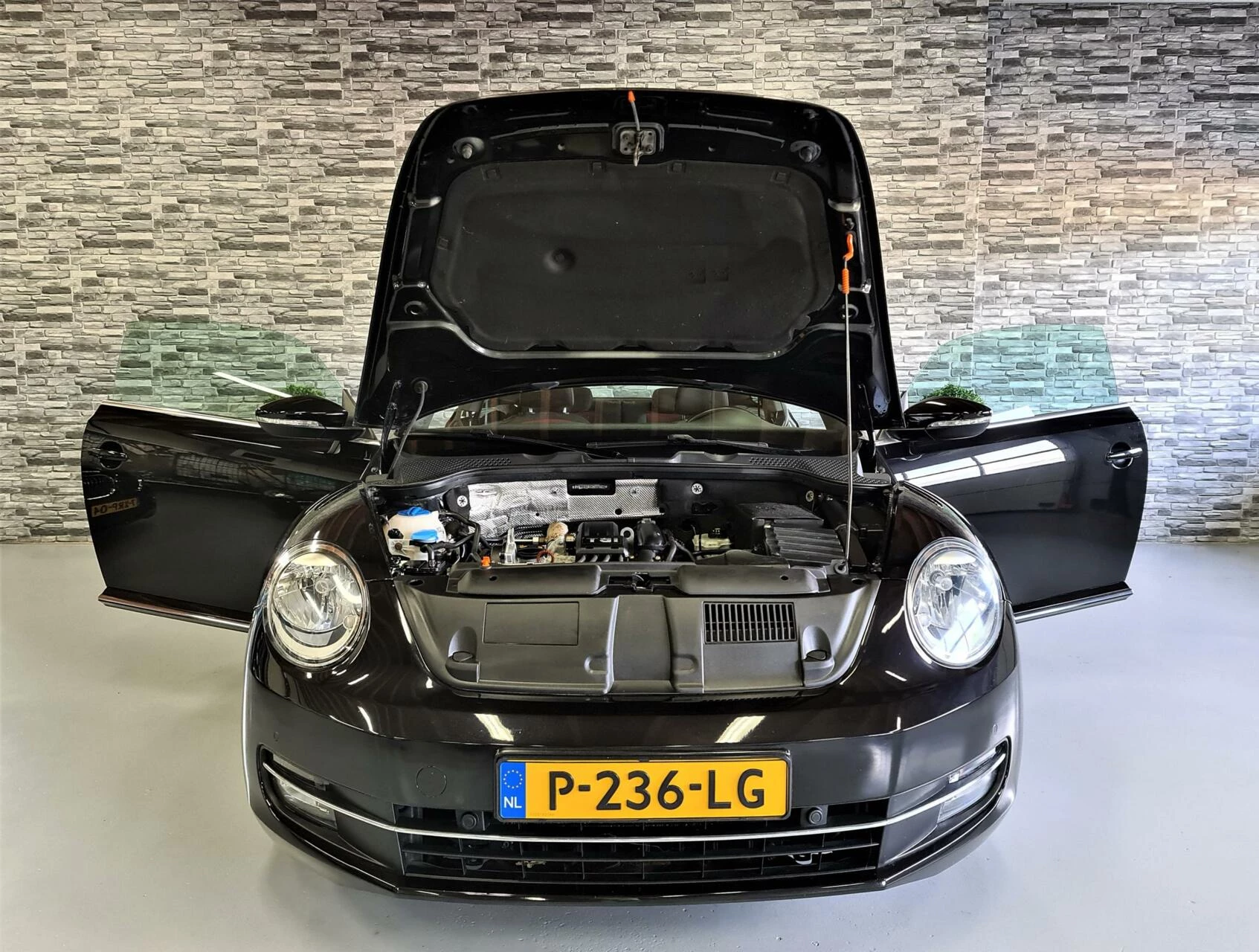 Hoofdafbeelding Volkswagen Beetle