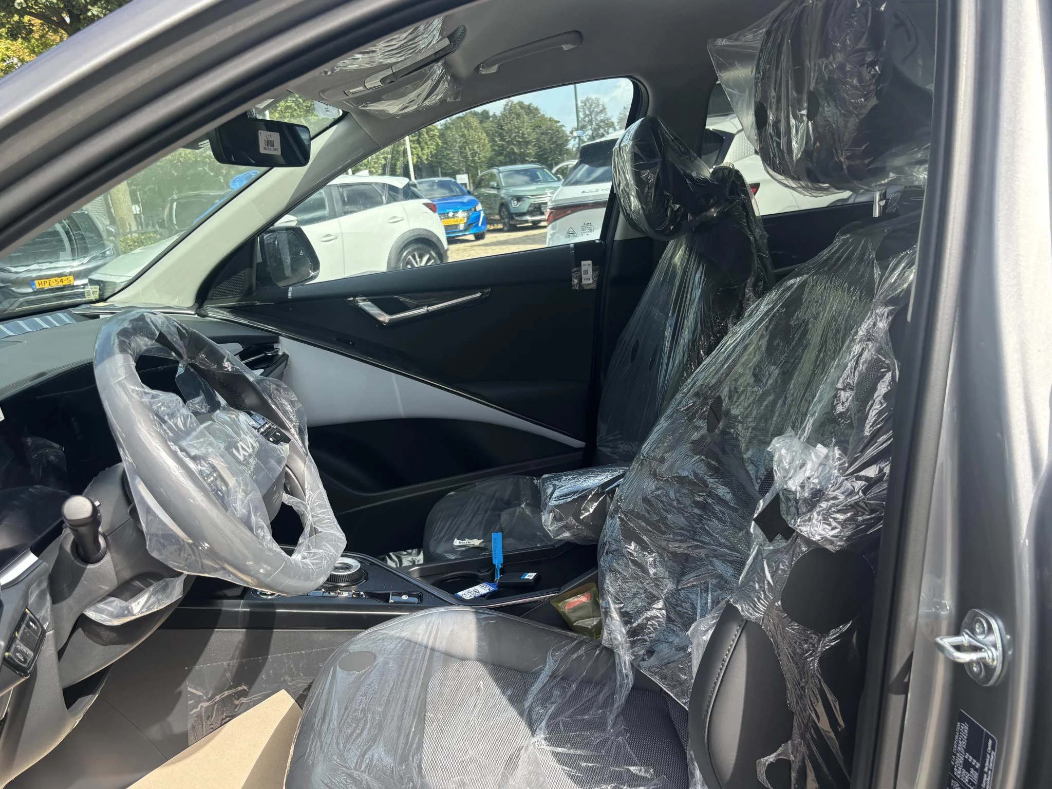 Hoofdafbeelding Kia Niro EV
