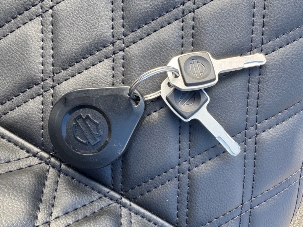 Hoofdafbeelding Harley-Davidson Low Rider