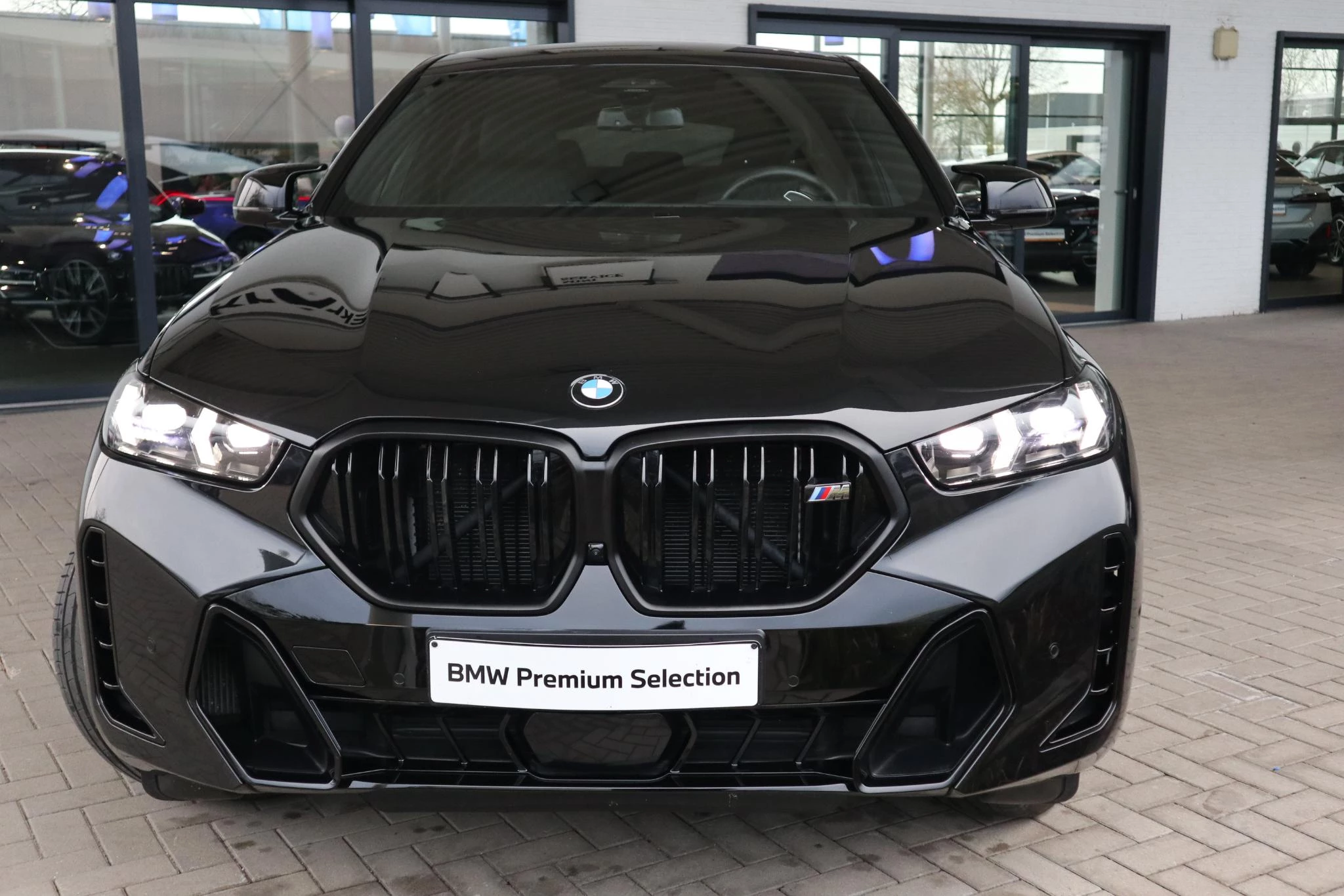 Hoofdafbeelding BMW X6