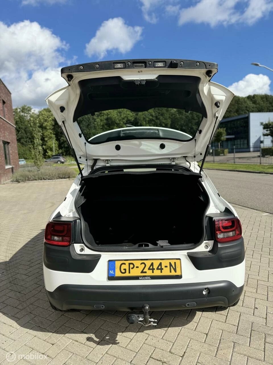 Hoofdafbeelding Citroën C4 Cactus