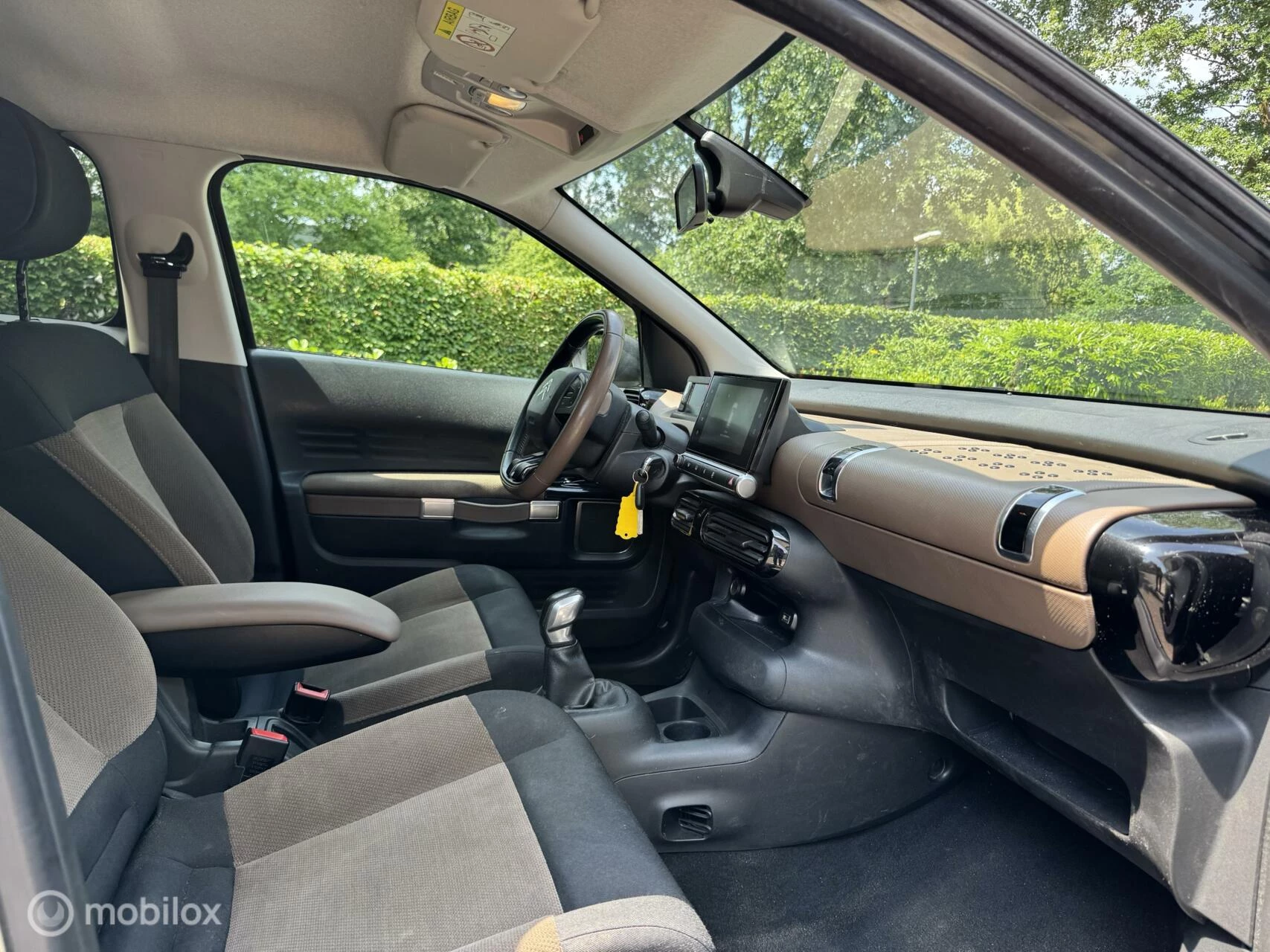 Hoofdafbeelding Citroën C4 Cactus
