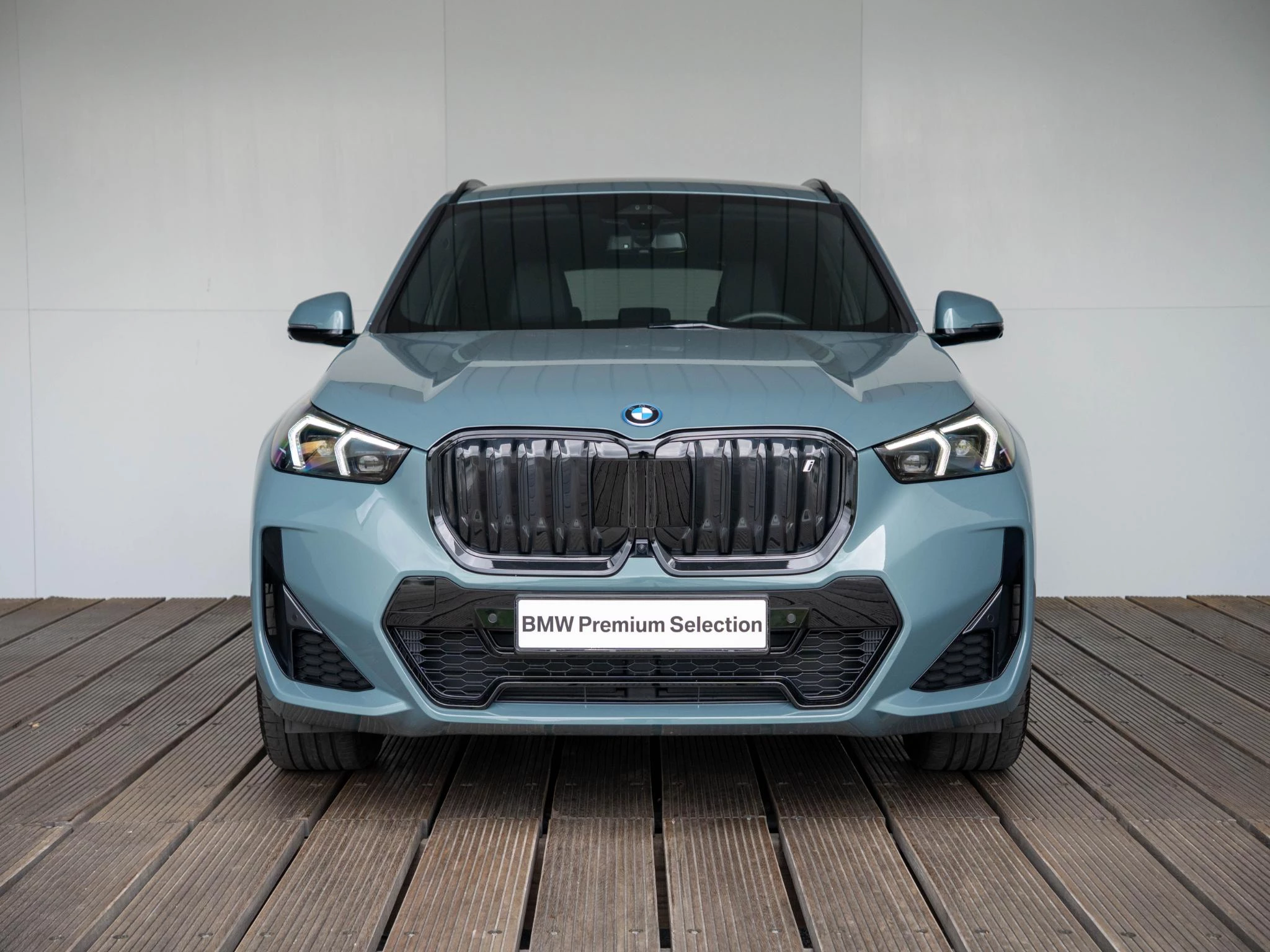 Hoofdafbeelding BMW iX1