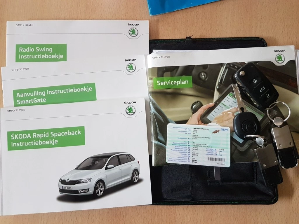 Hoofdafbeelding Škoda Rapid