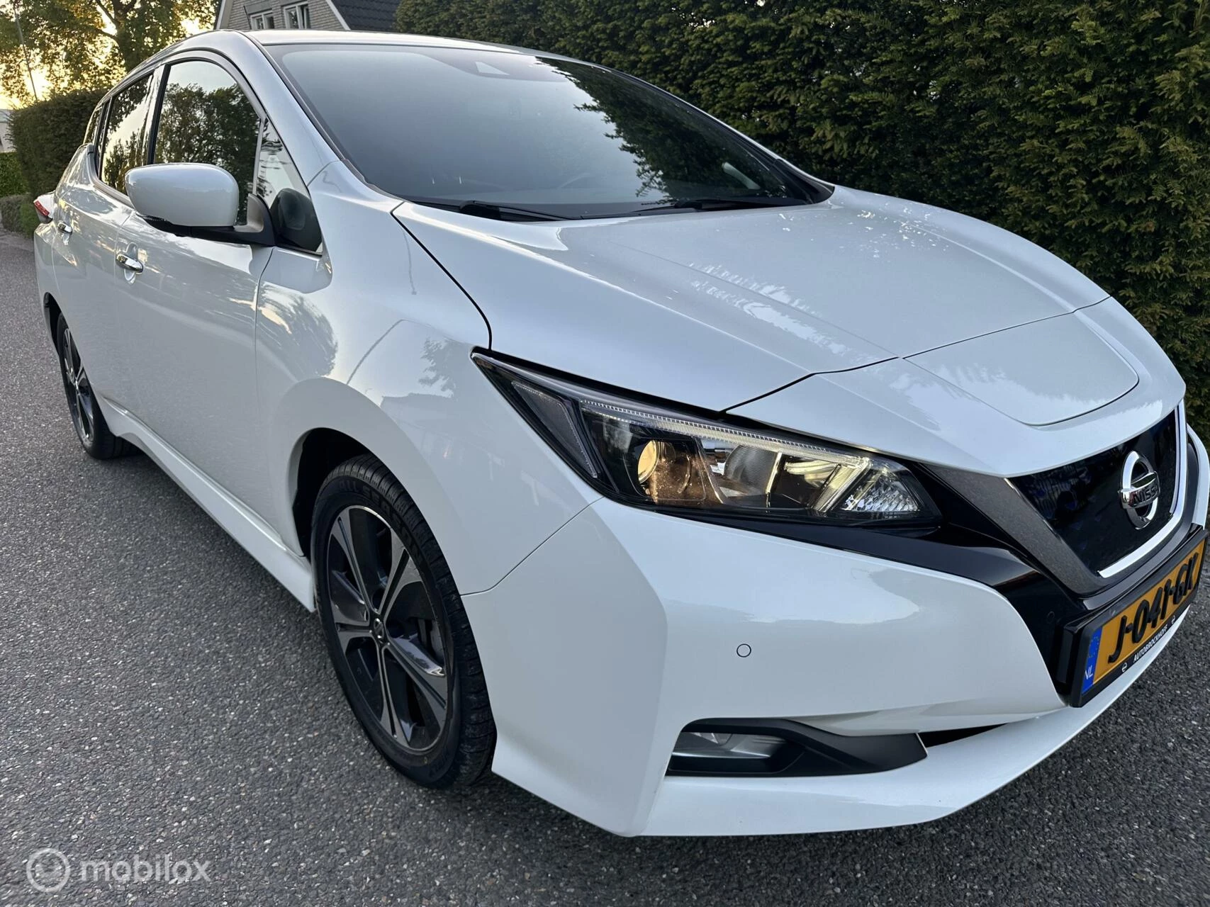 Hoofdafbeelding Nissan Leaf