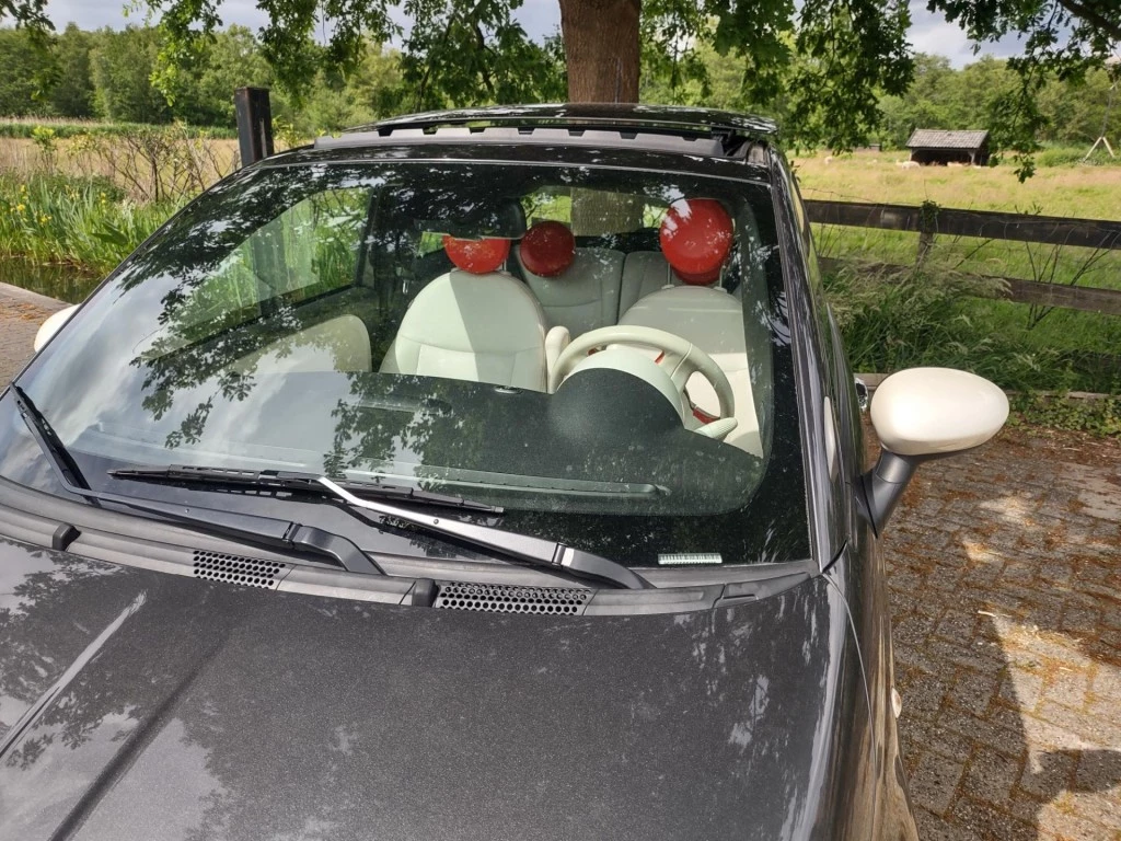 Hoofdafbeelding Fiat 500e