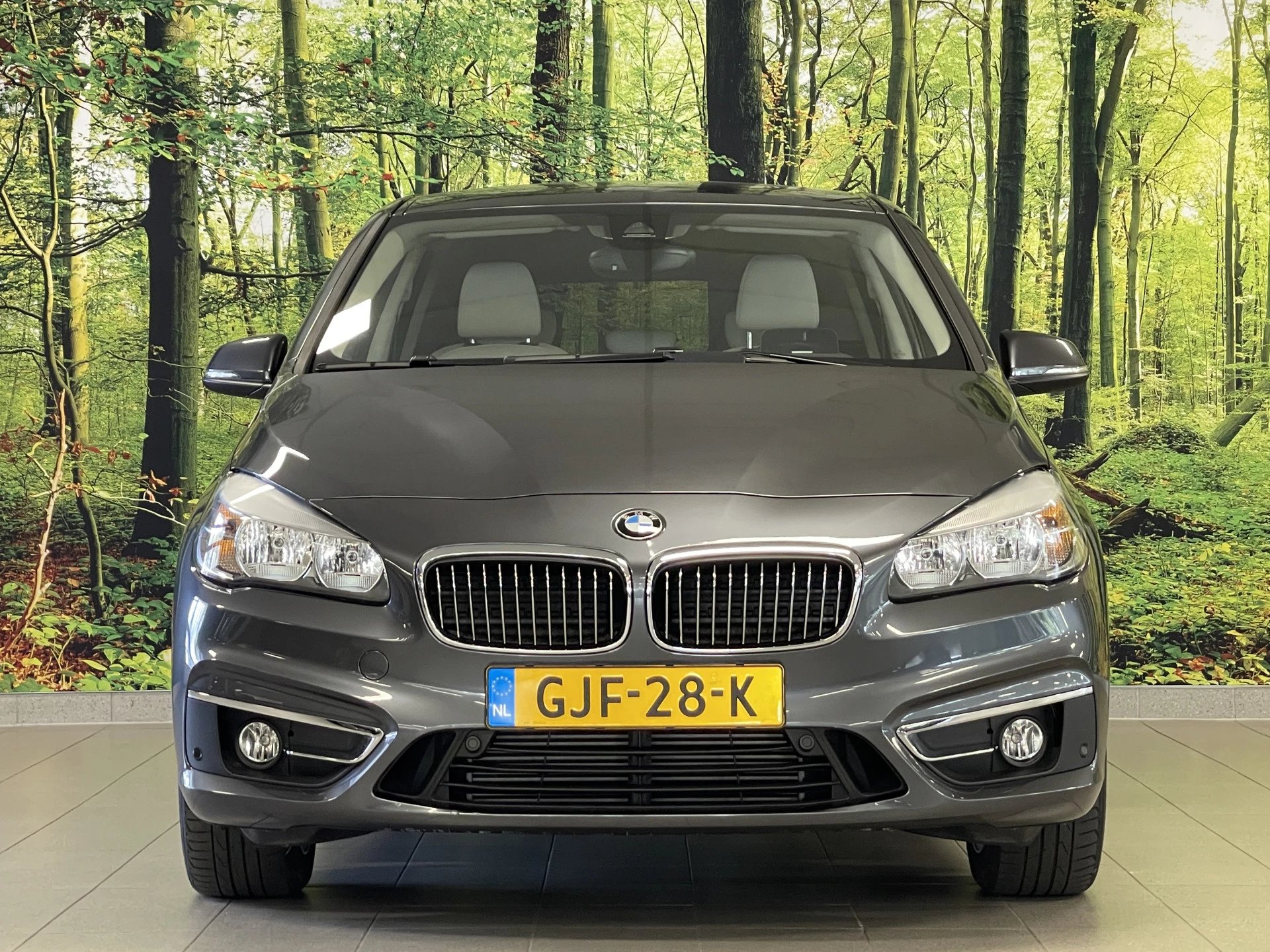 Hoofdafbeelding BMW 2 Serie