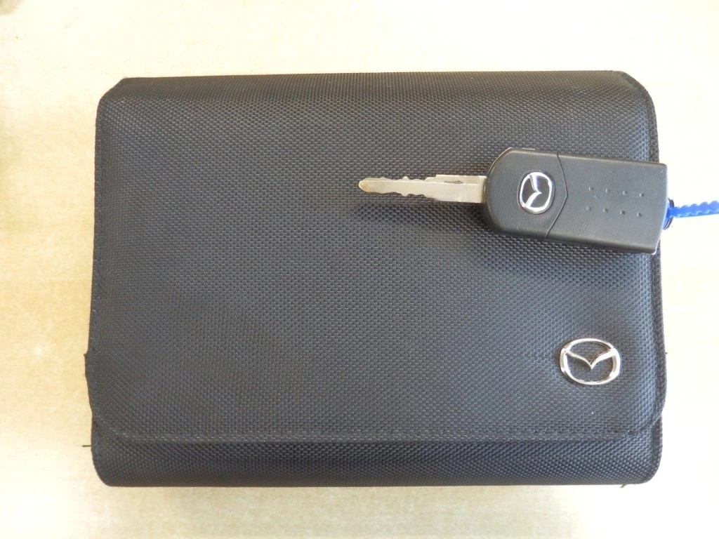 Hoofdafbeelding Mazda 2