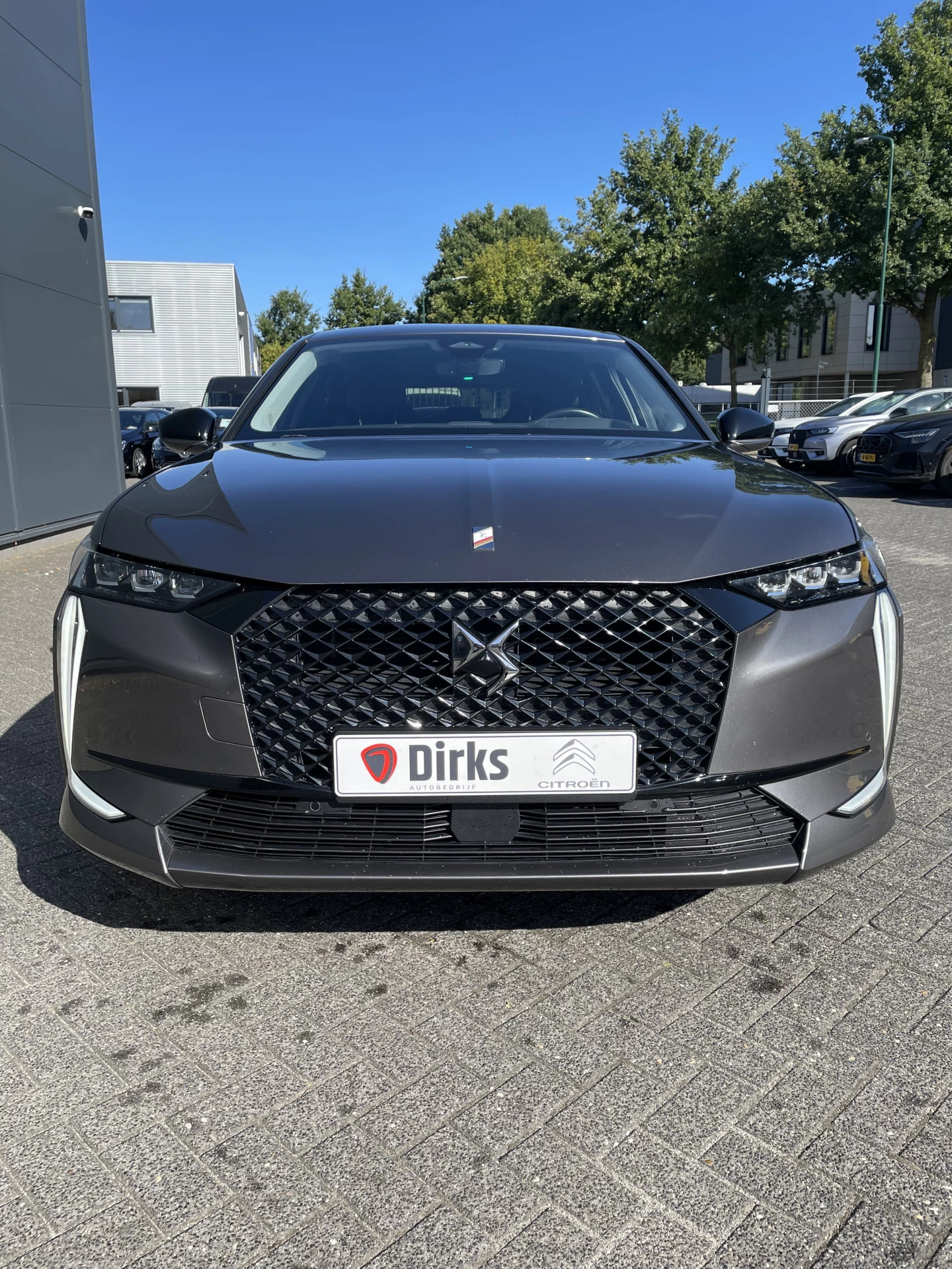 Hoofdafbeelding DS DS 4