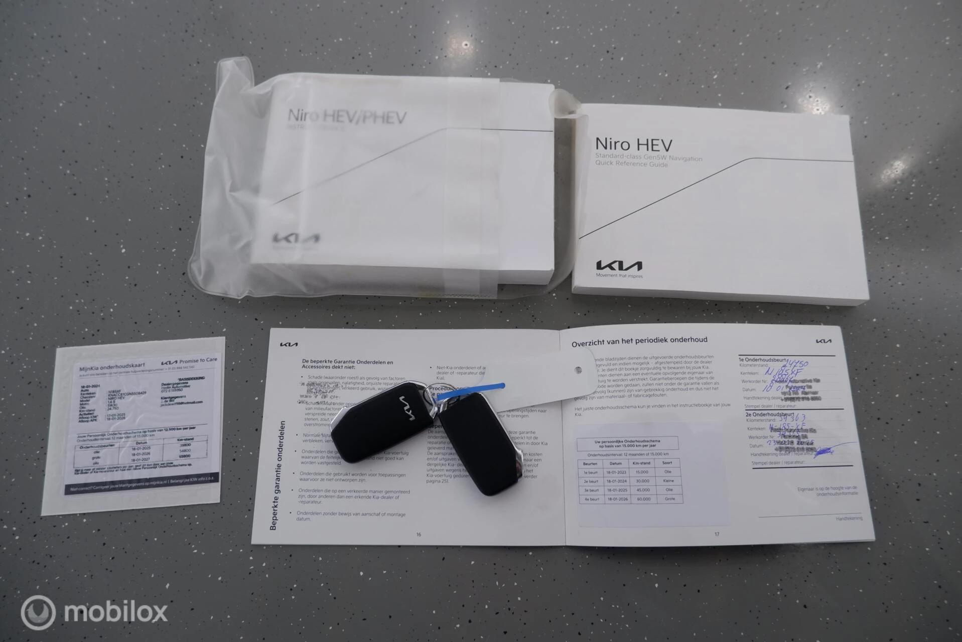 Hoofdafbeelding Kia Niro