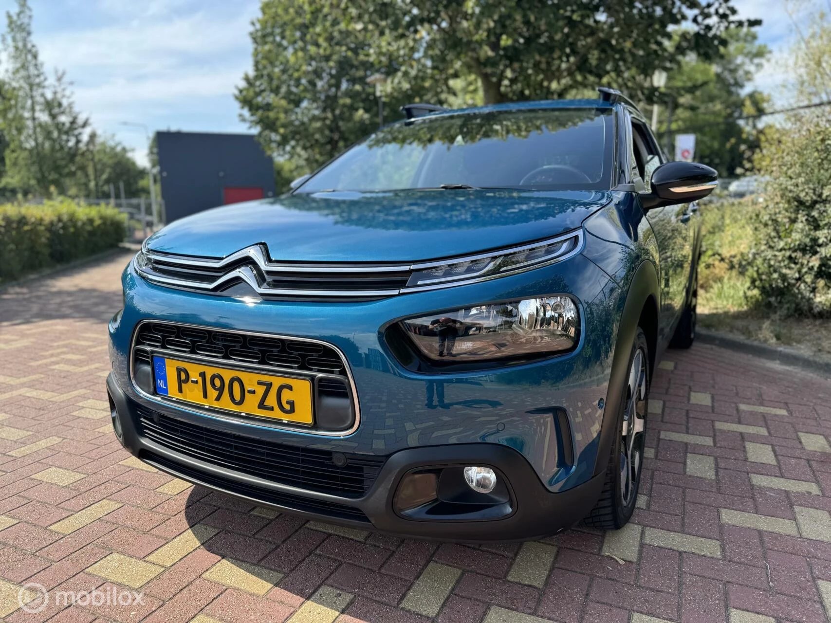 Hoofdafbeelding Citroën C4 Cactus